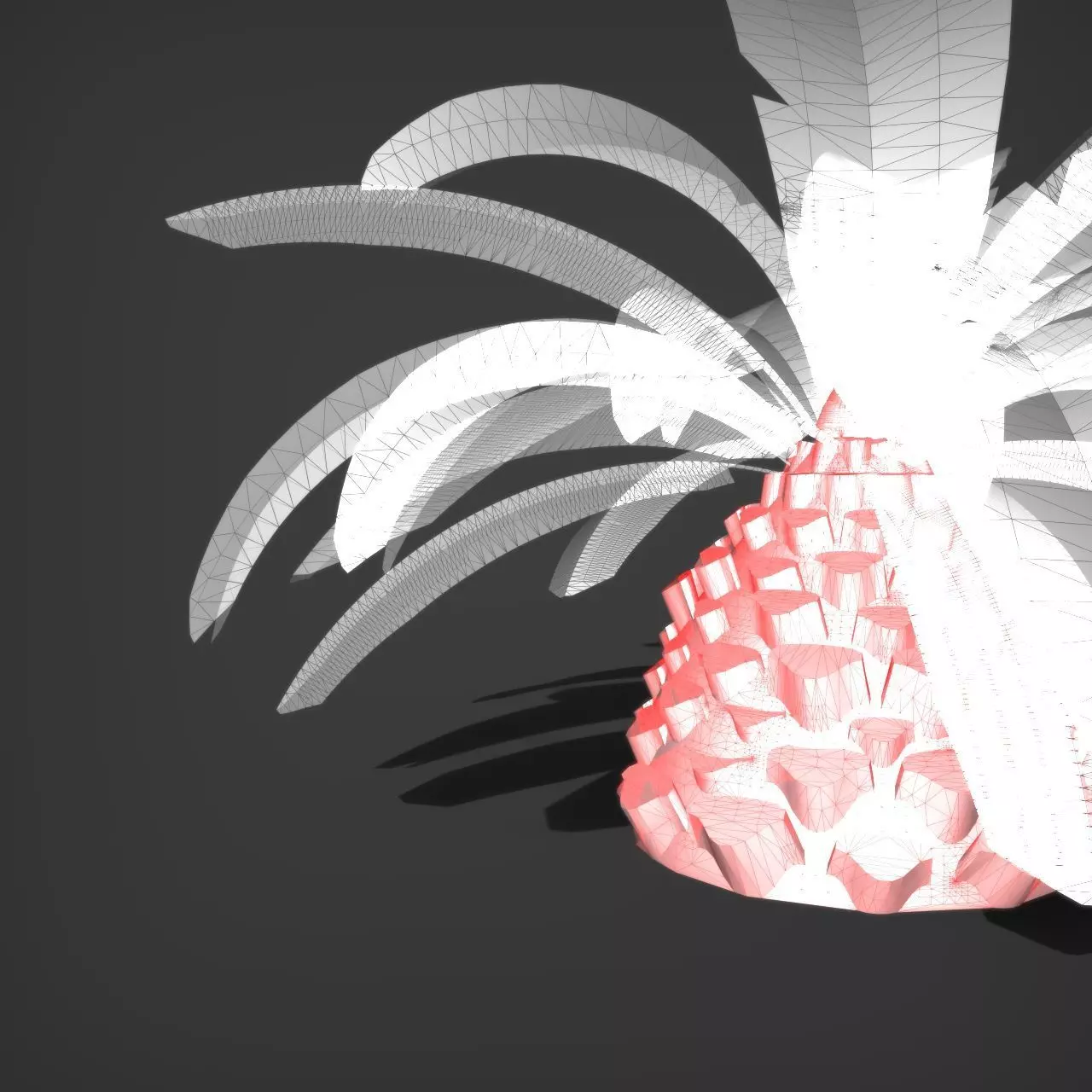 Palm Tree Pindo 3D model_11