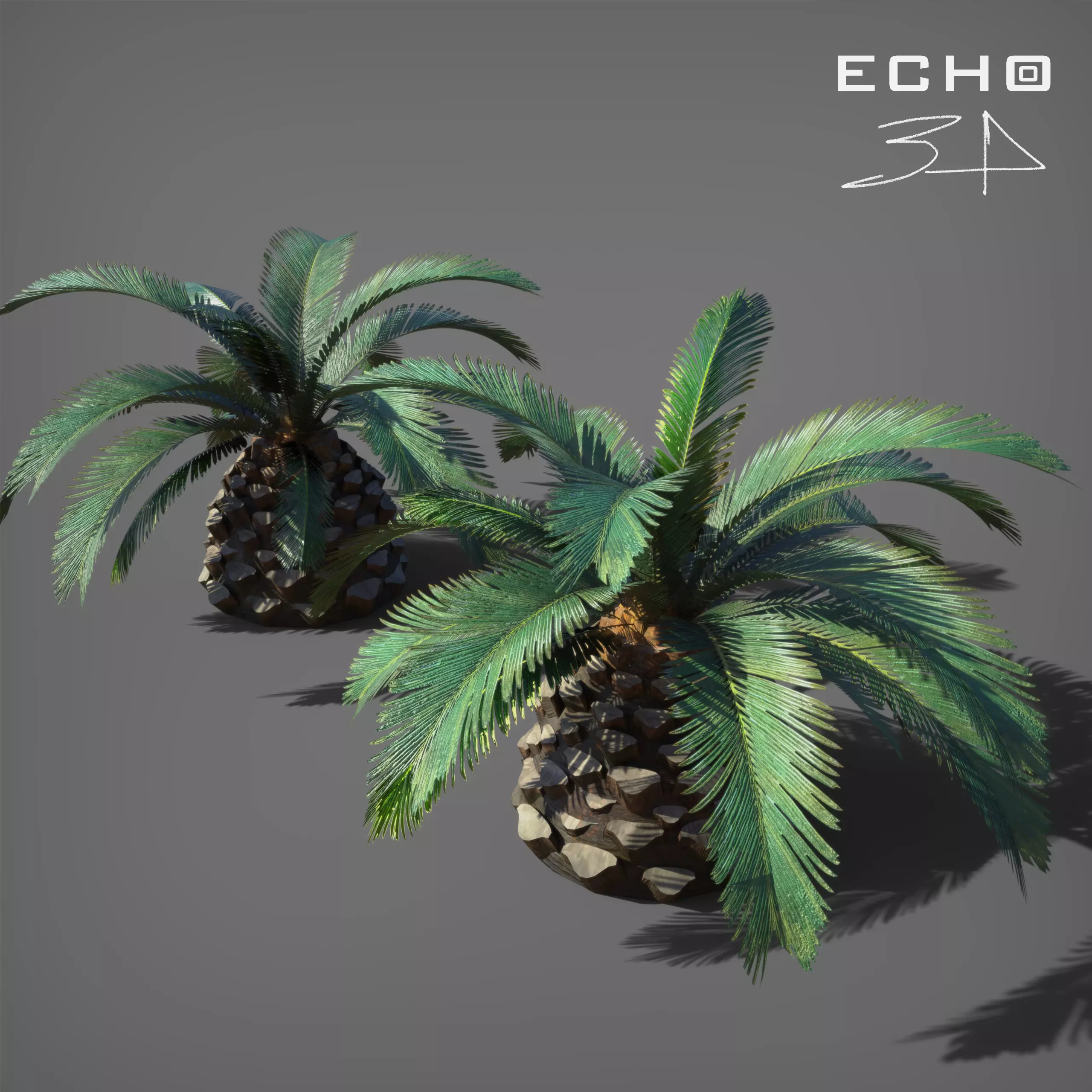 Palm Tree Pindo 3D model_0