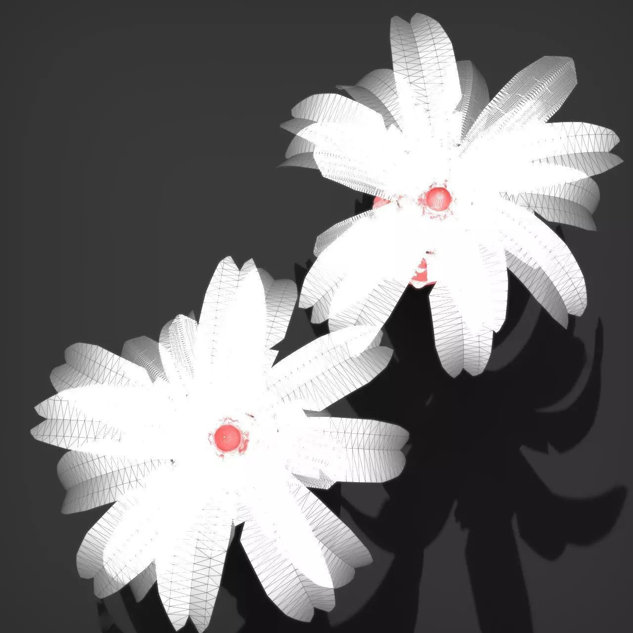 Palm Tree Pindo 3D model_8