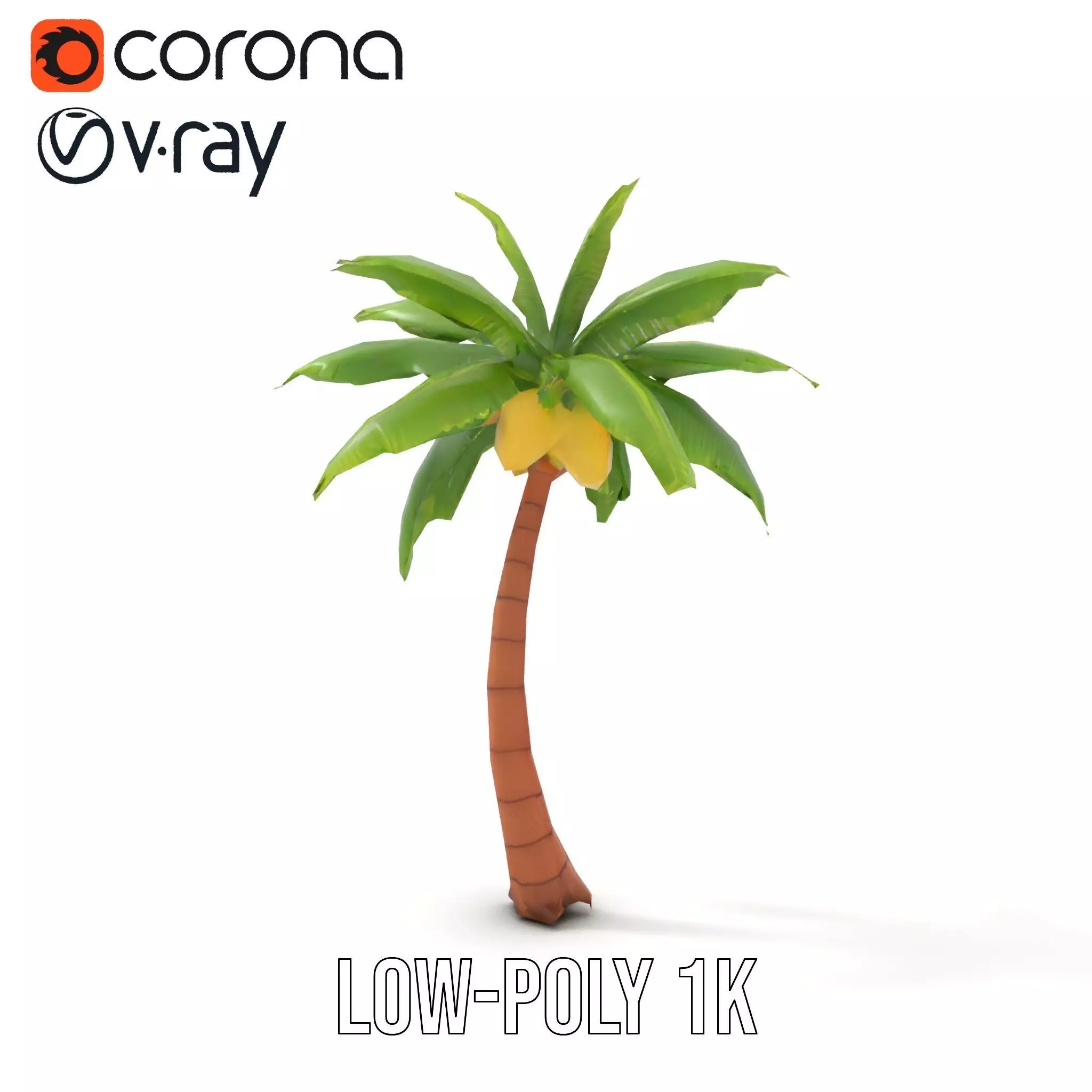 Tropical Palm Tree model pack Low-poly 3D model_9