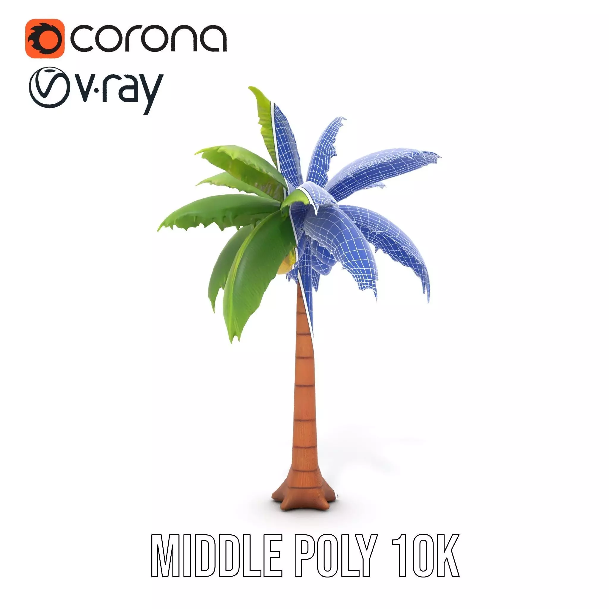 Tropical Palm Tree model pack Low-poly 3D model_30