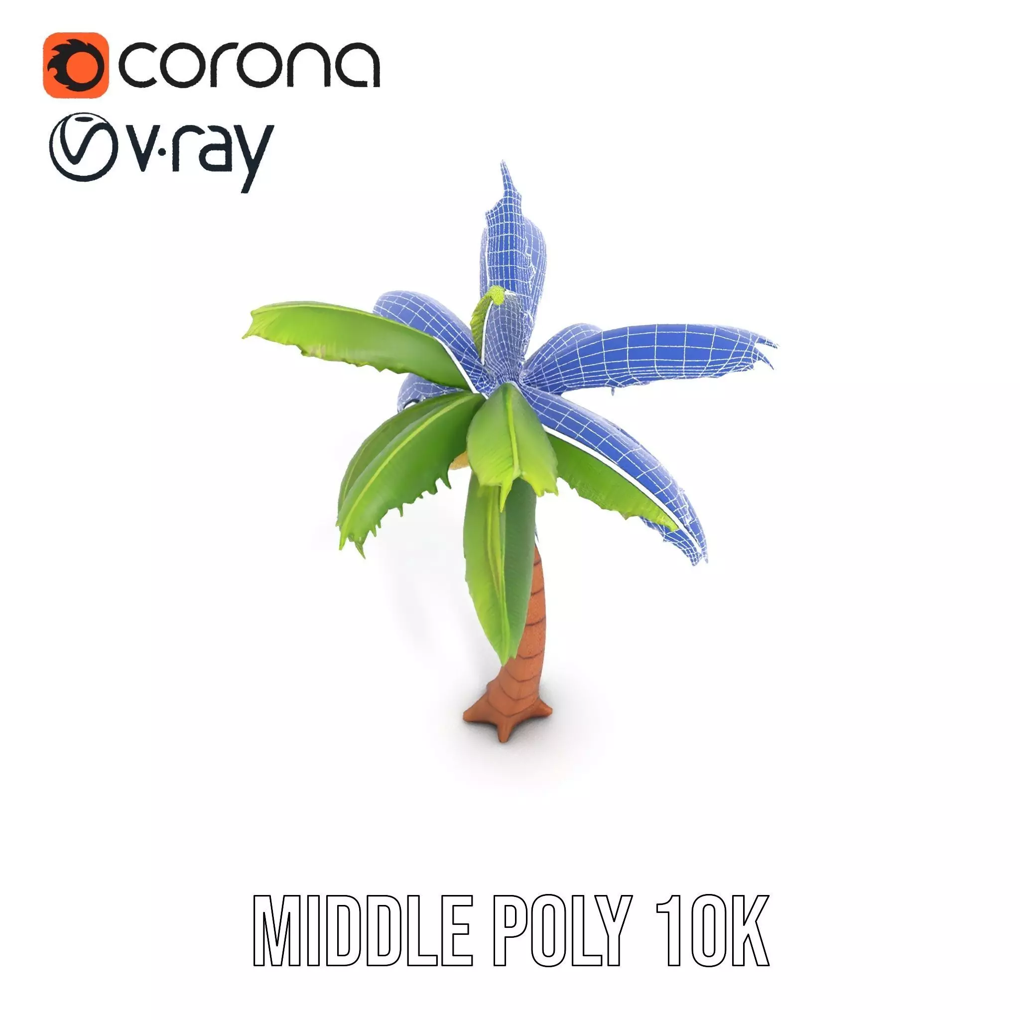 Tropical Palm Tree model pack Low-poly 3D model_24