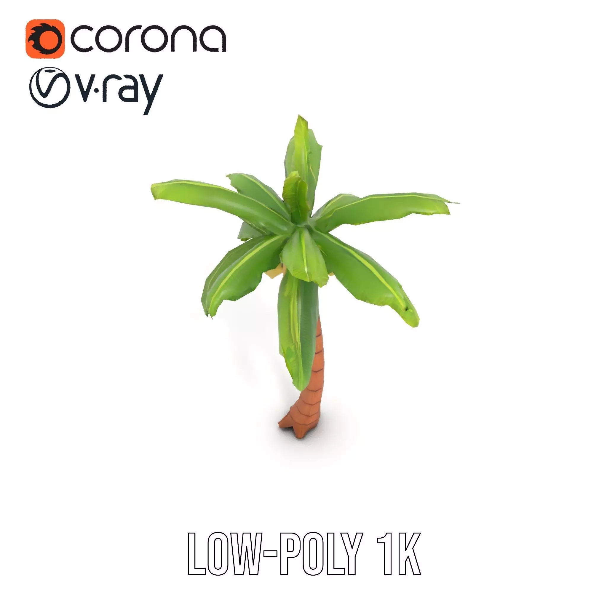 Tropical Palm Tree model pack Low-poly 3D model_20