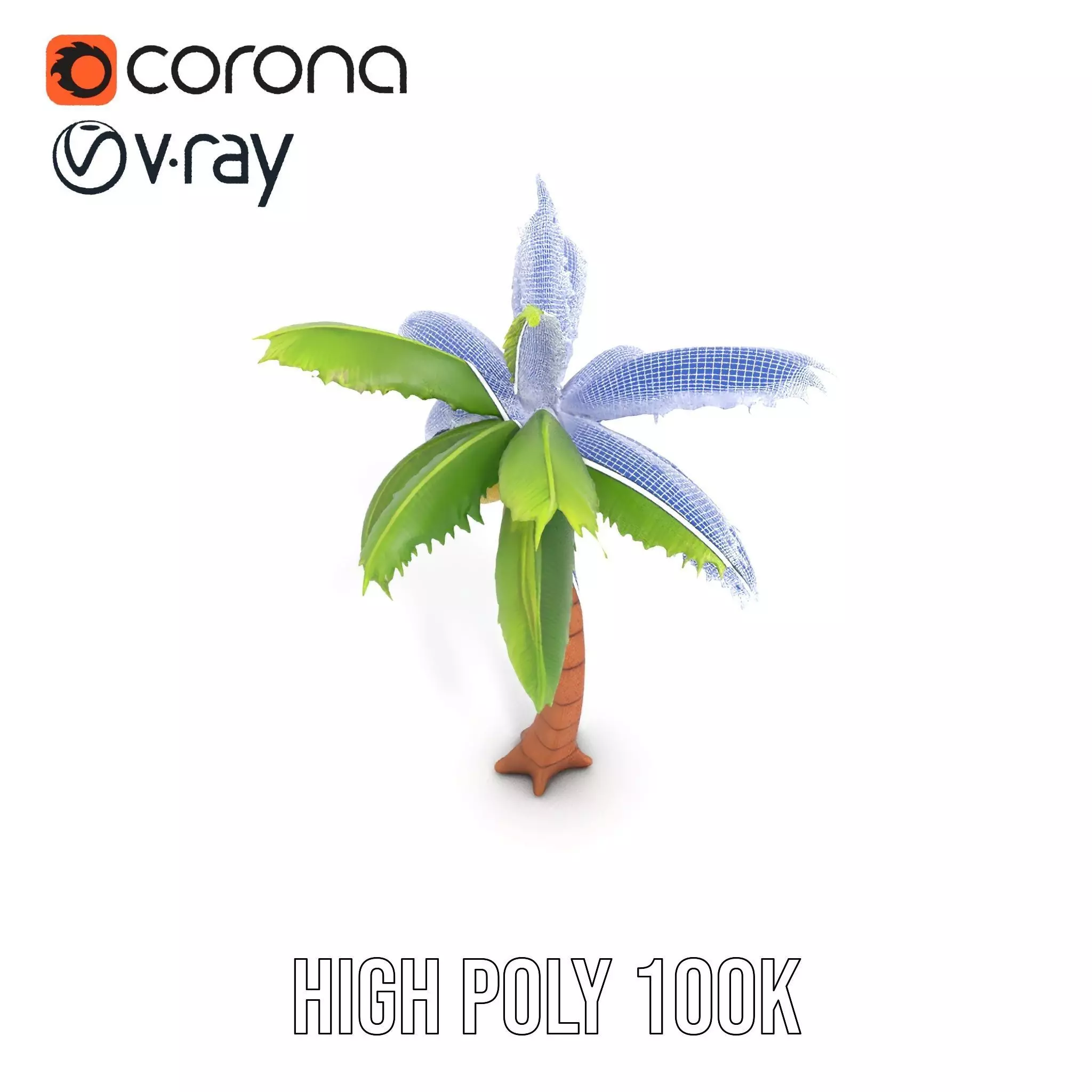 Tropical Palm Tree model pack Low-poly 3D model_33