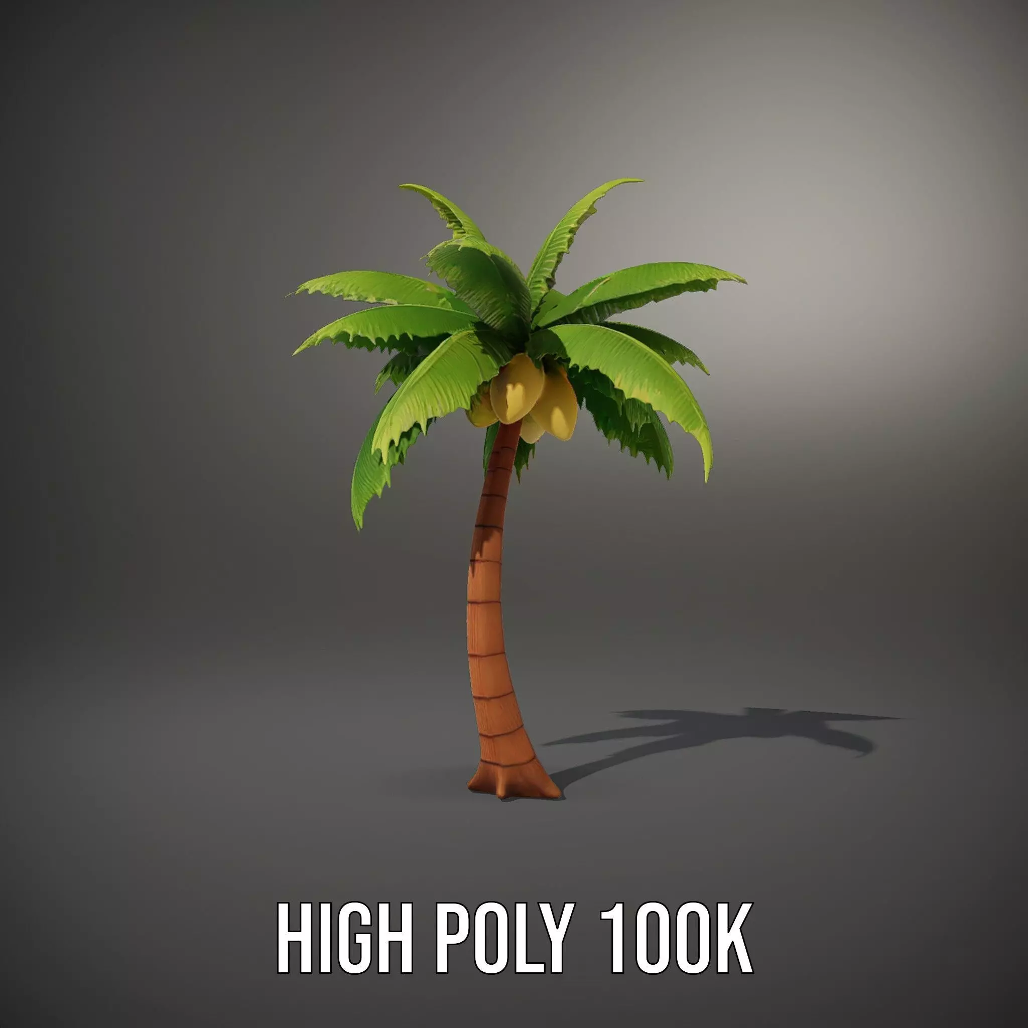 Tropical Palm Tree model pack Low-poly 3D model_10