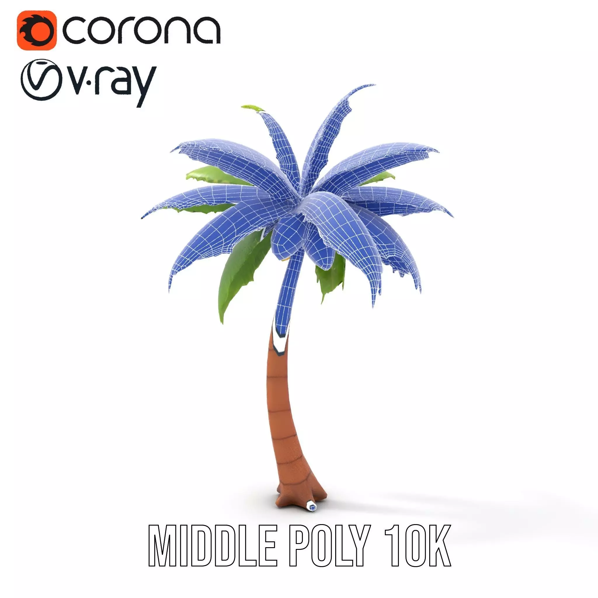 Tropical Palm Tree model pack Low-poly 3D model_27