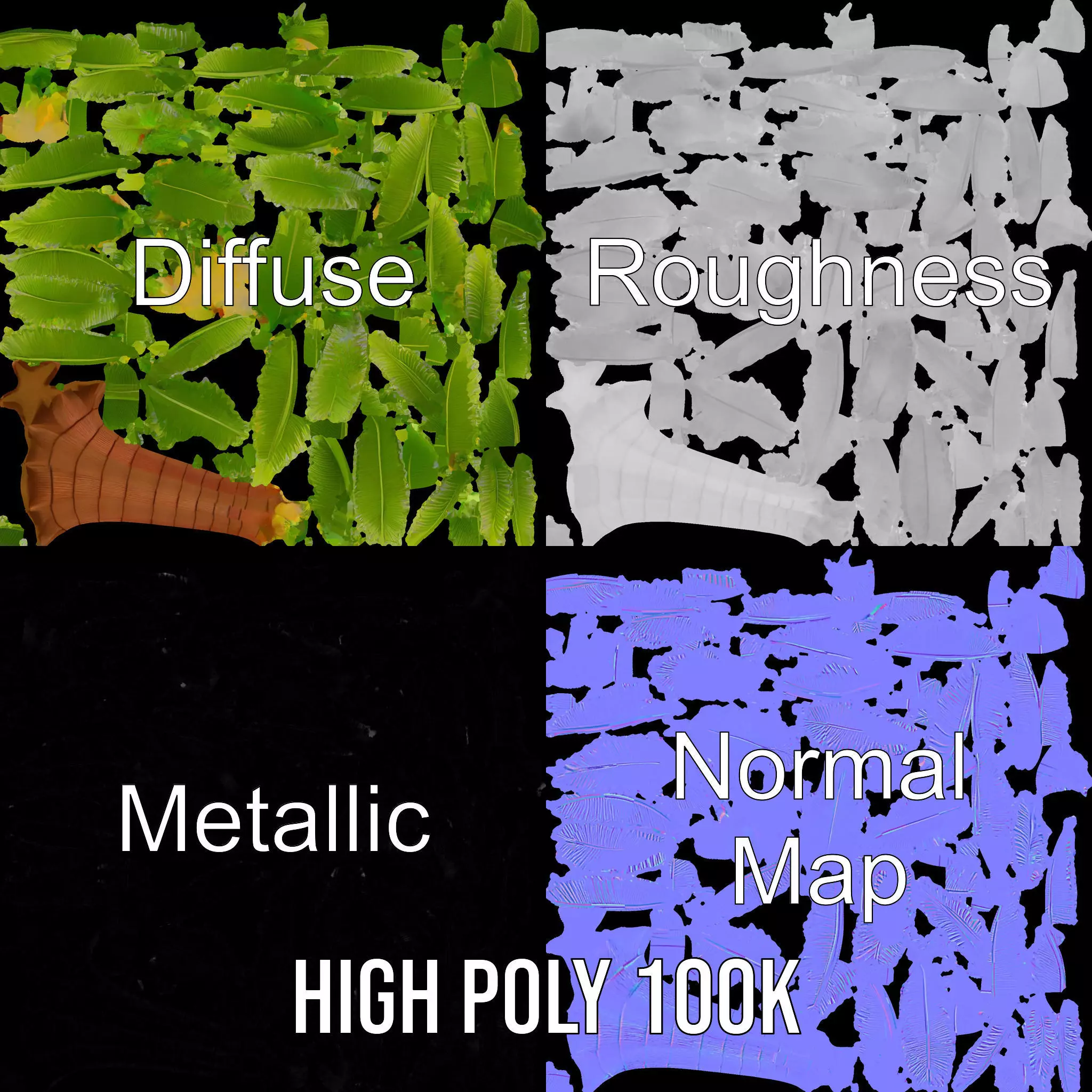 Tropical Palm Tree model pack Low-poly 3D model_3