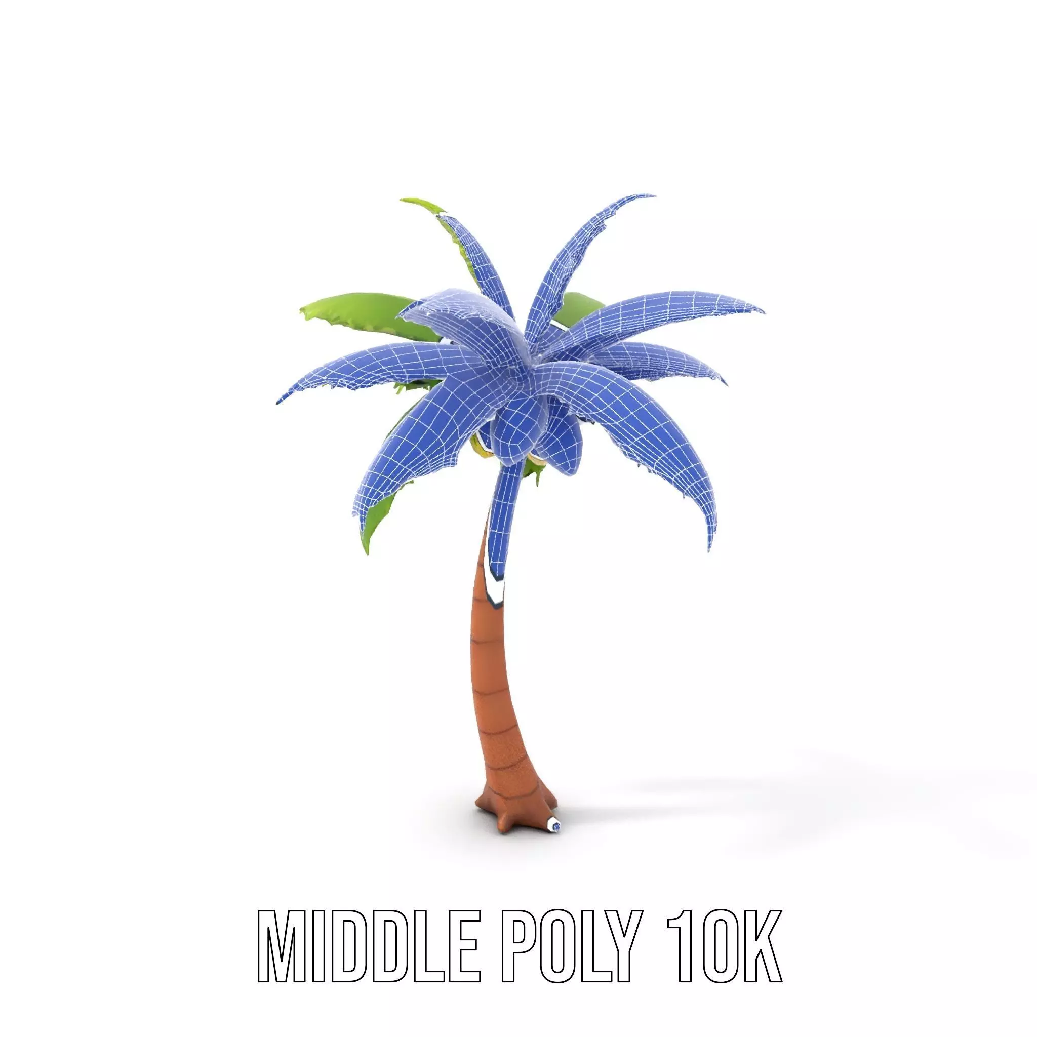 Tropical Palm Tree model pack Low-poly 3D model_19