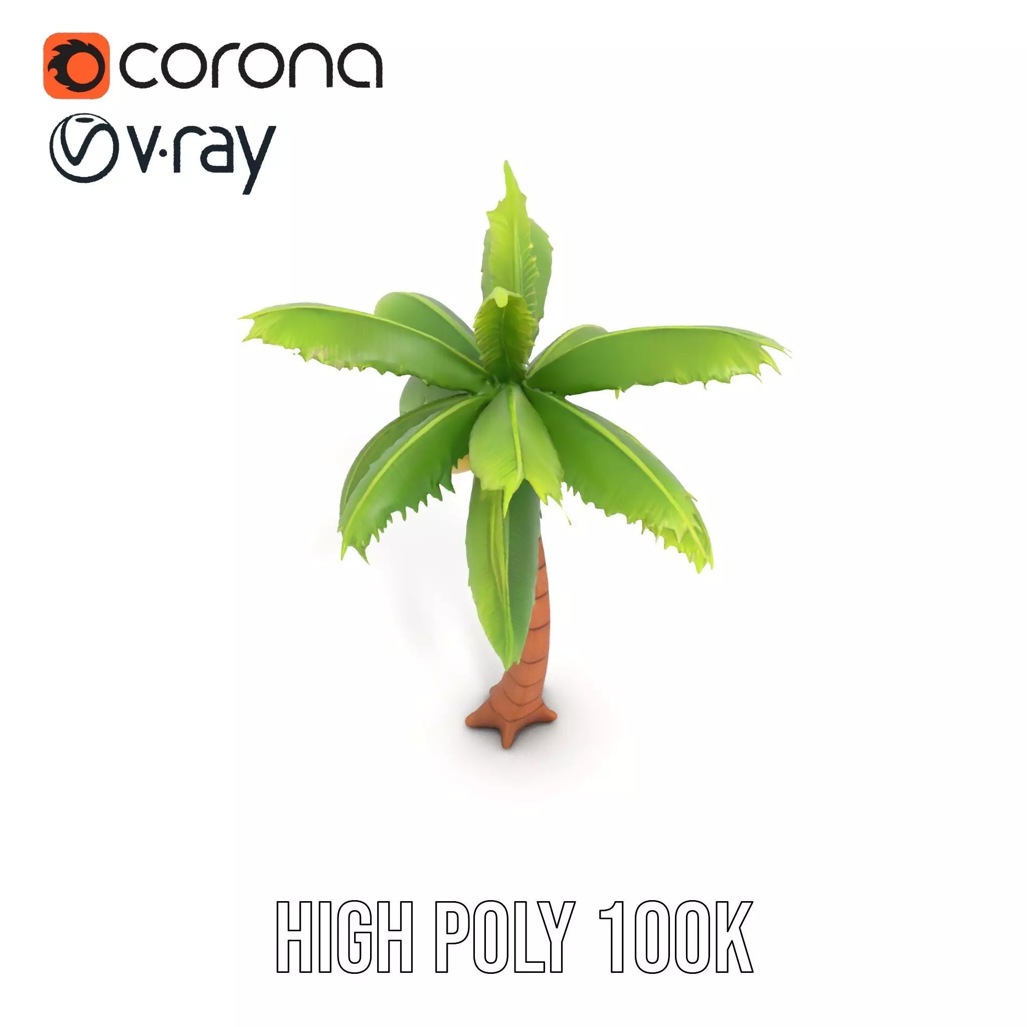 Tropical Palm Tree model pack Low-poly 3D model_32