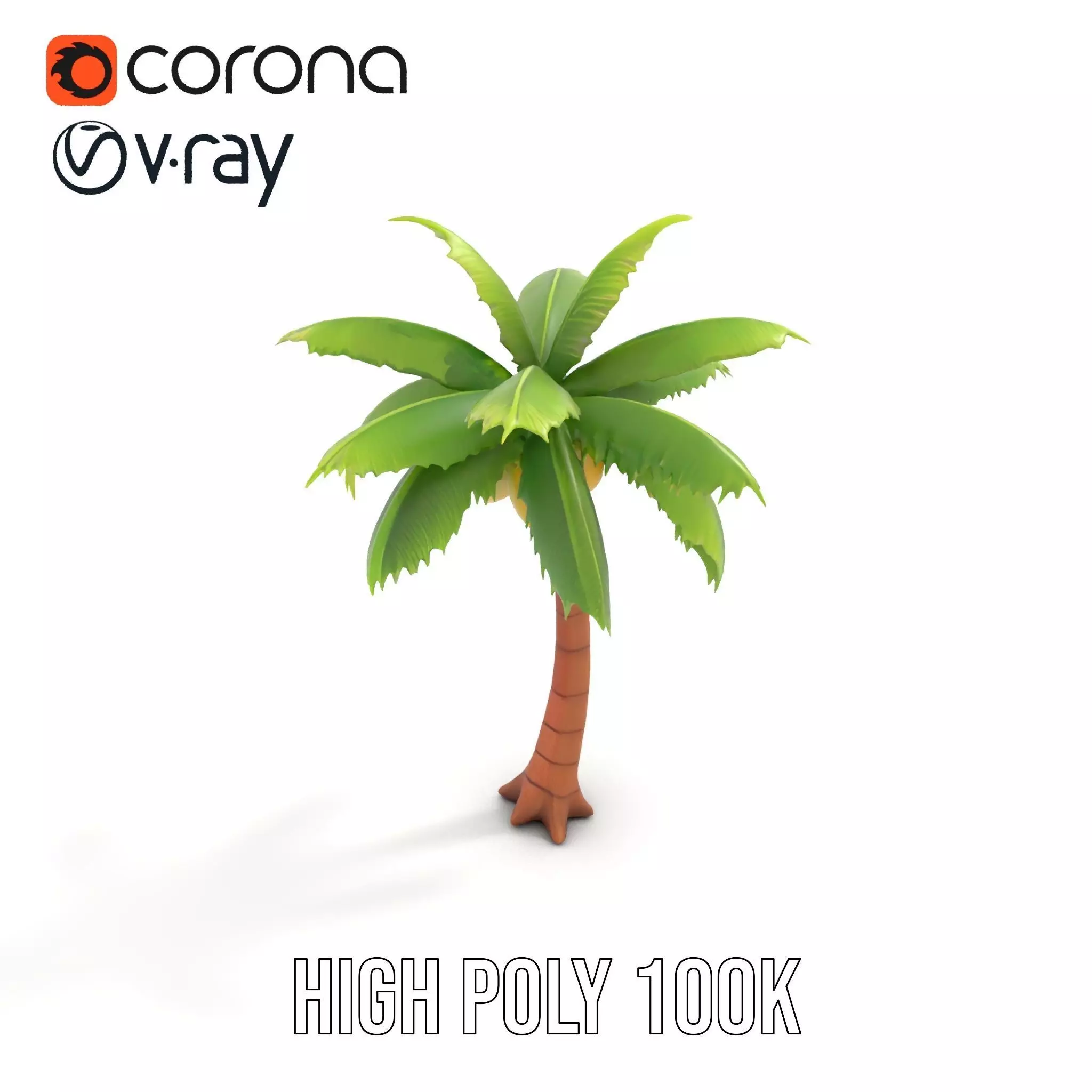 Tropical Palm Tree model pack Low-poly 3D model_18