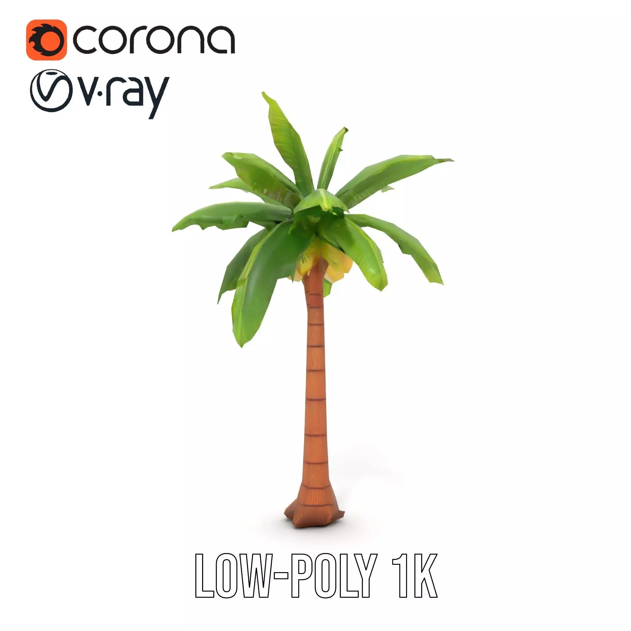 Tropical Palm Tree model pack Low-poly 3D model_23