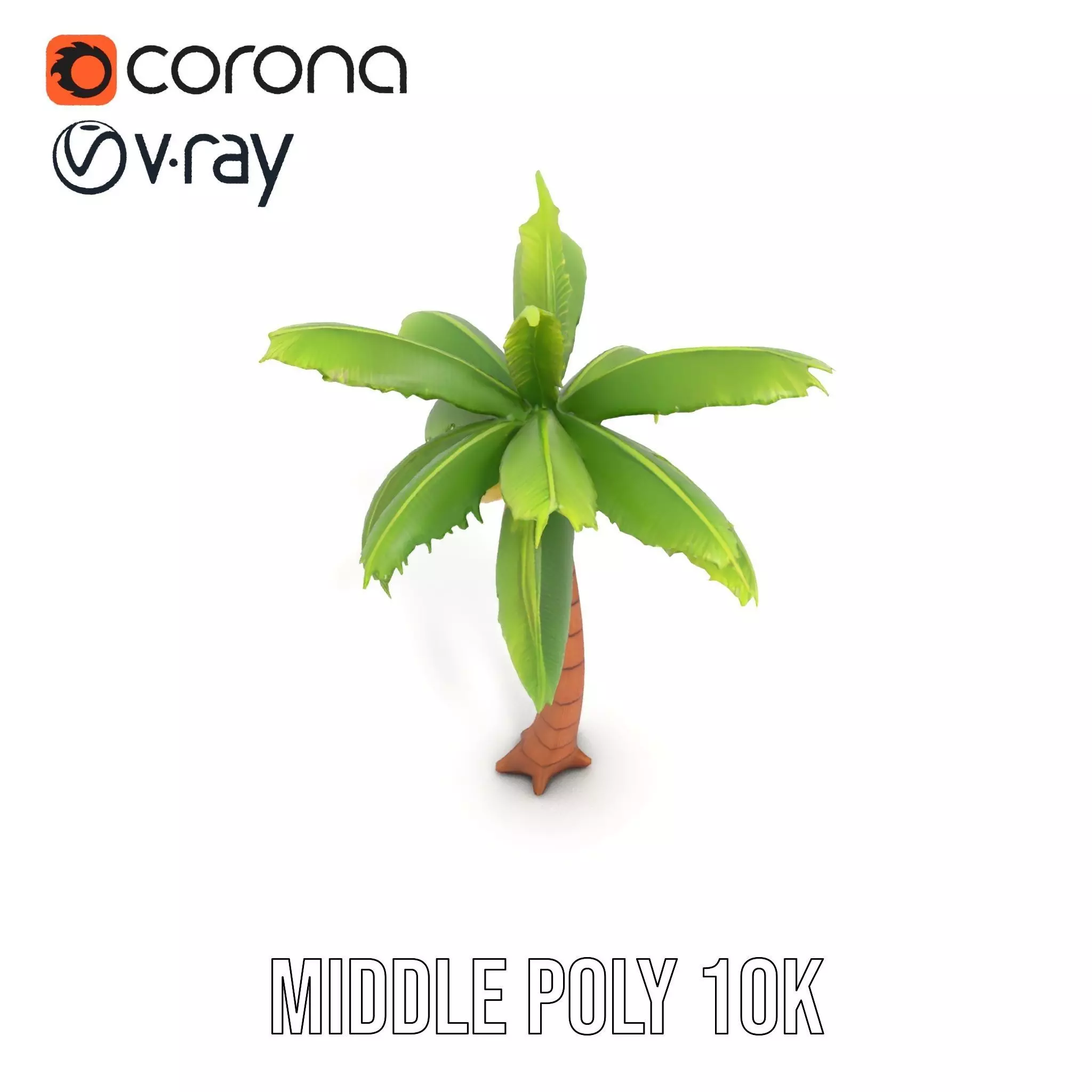 Tropical Palm Tree model pack Low-poly 3D model_16