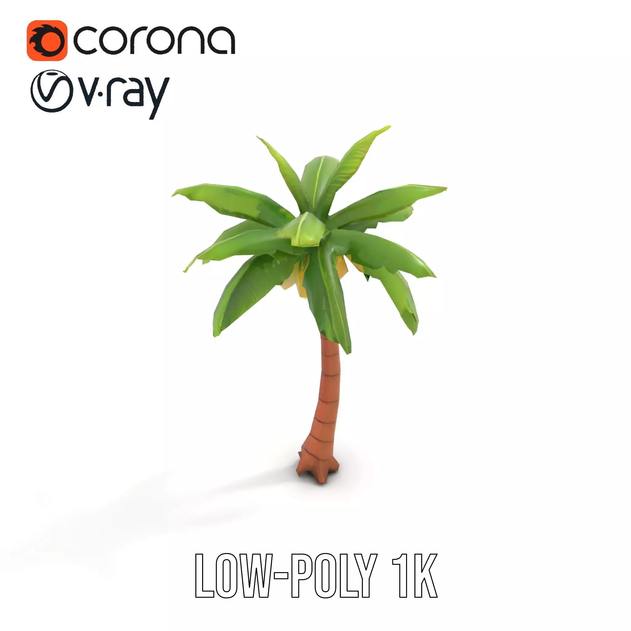 Tropical Palm Tree model pack Low-poly 3D model_17