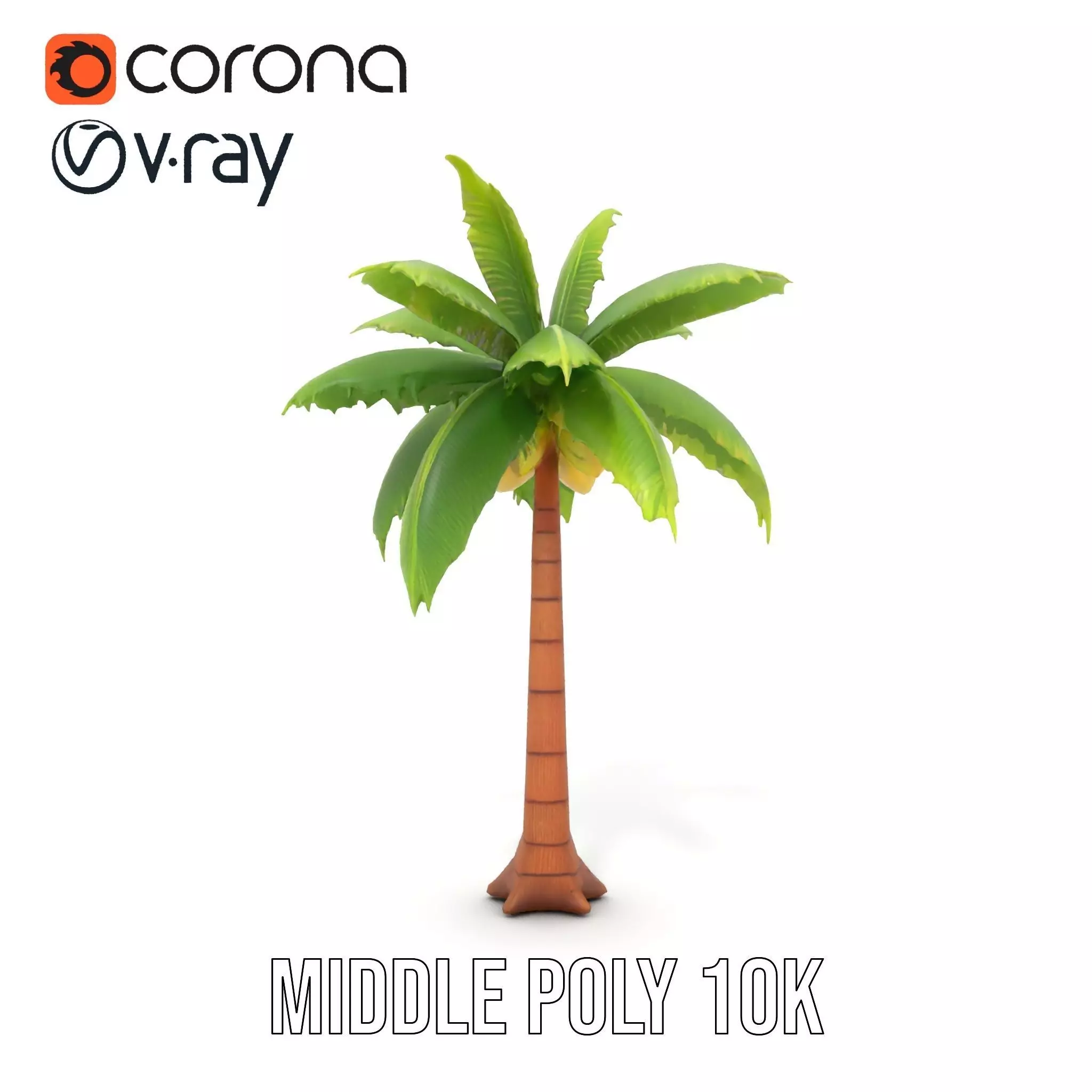 Tropical Palm Tree model pack Low-poly 3D model_11