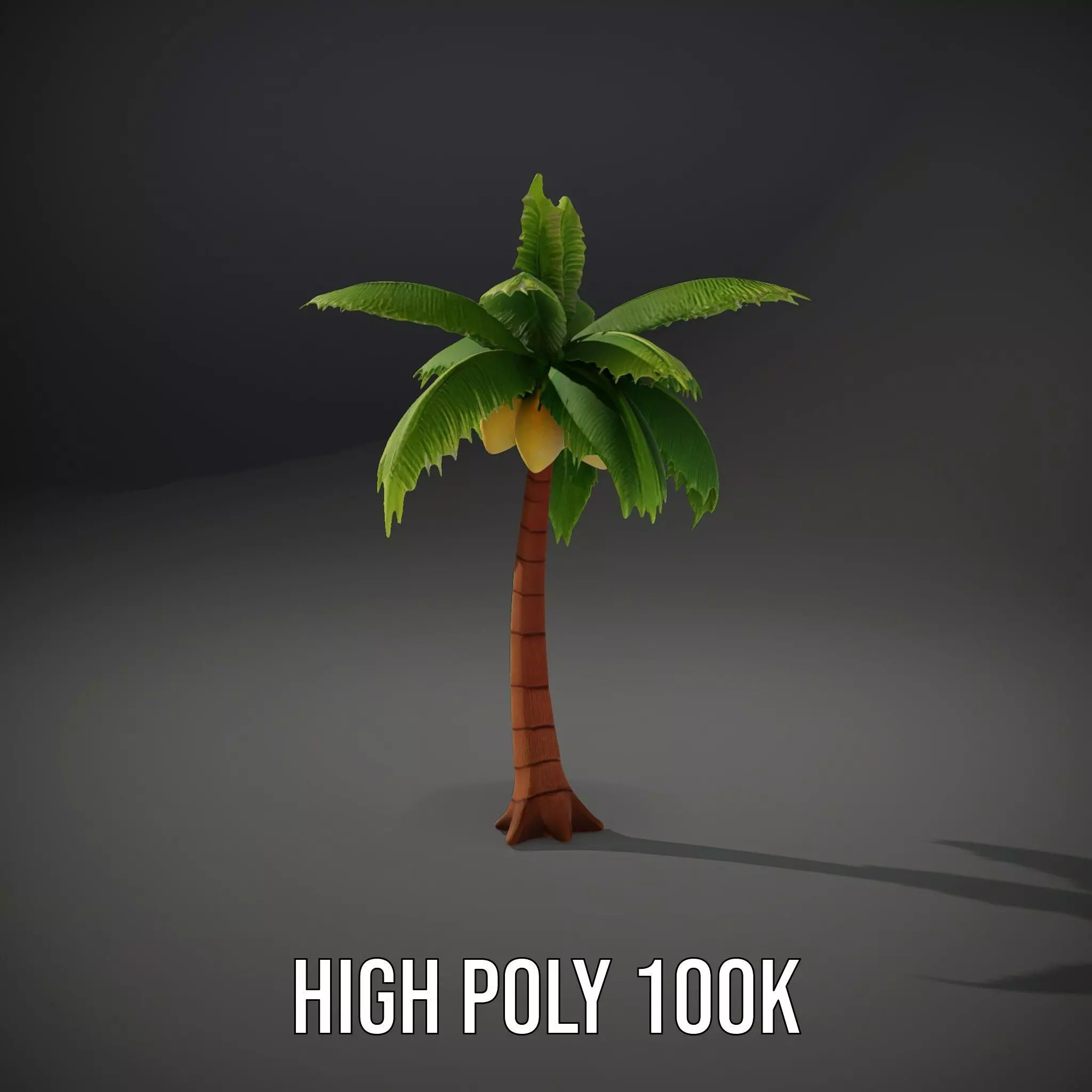 Tropical Palm Tree model pack Low-poly 3D model_8