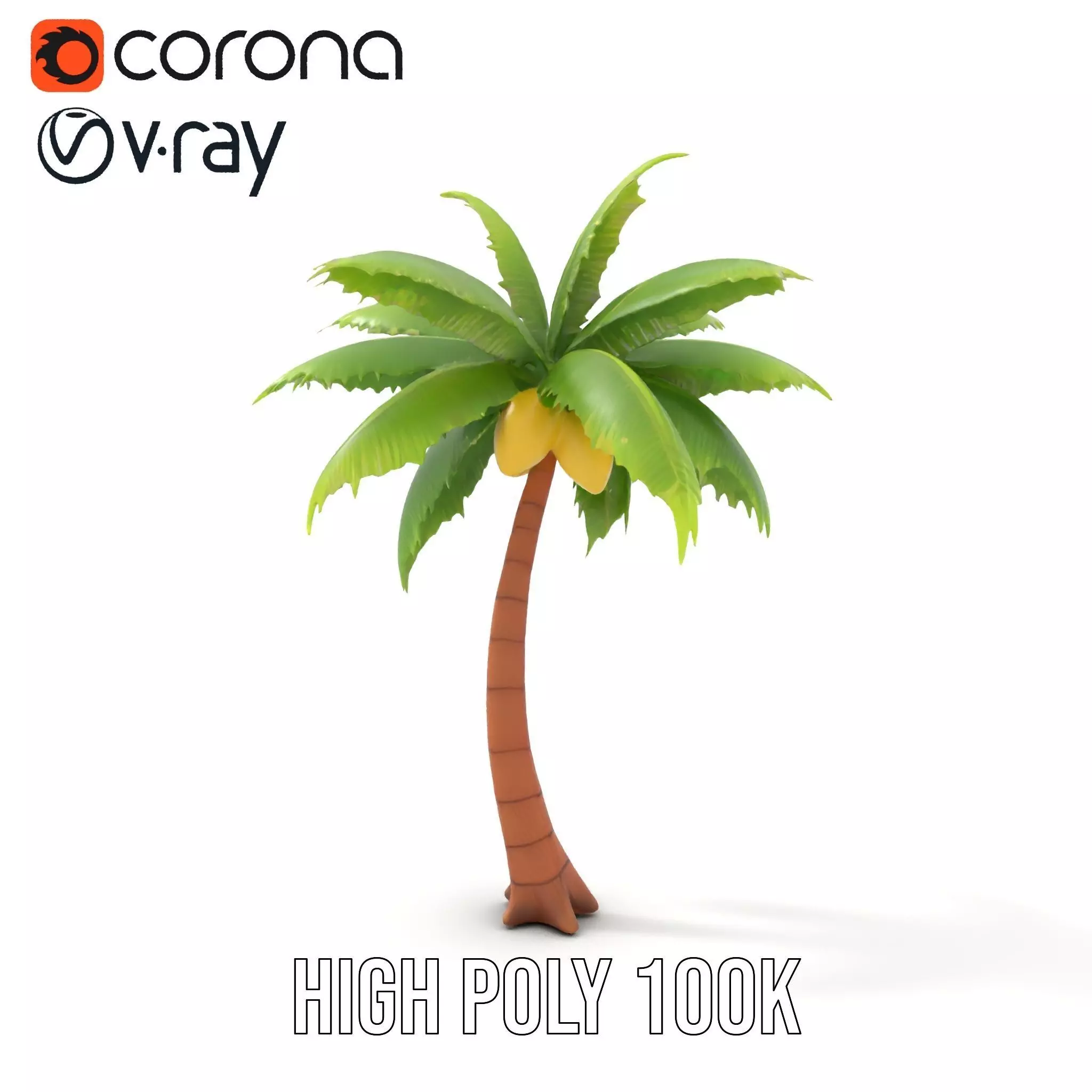 Tropical Palm Tree model pack Low-poly 3D model_15