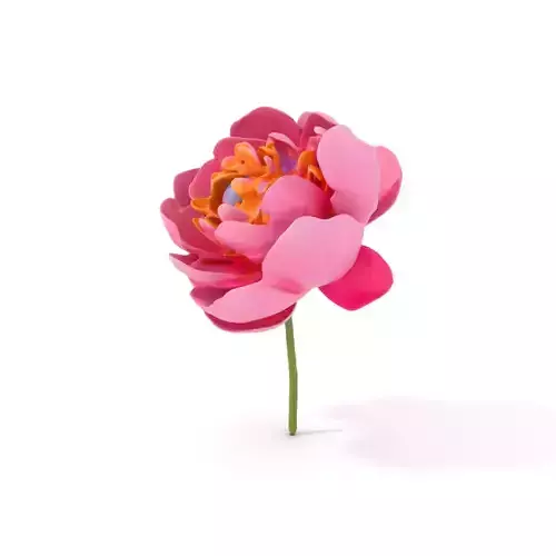 Elegant Pink Peony model pack Low-poly 3D model