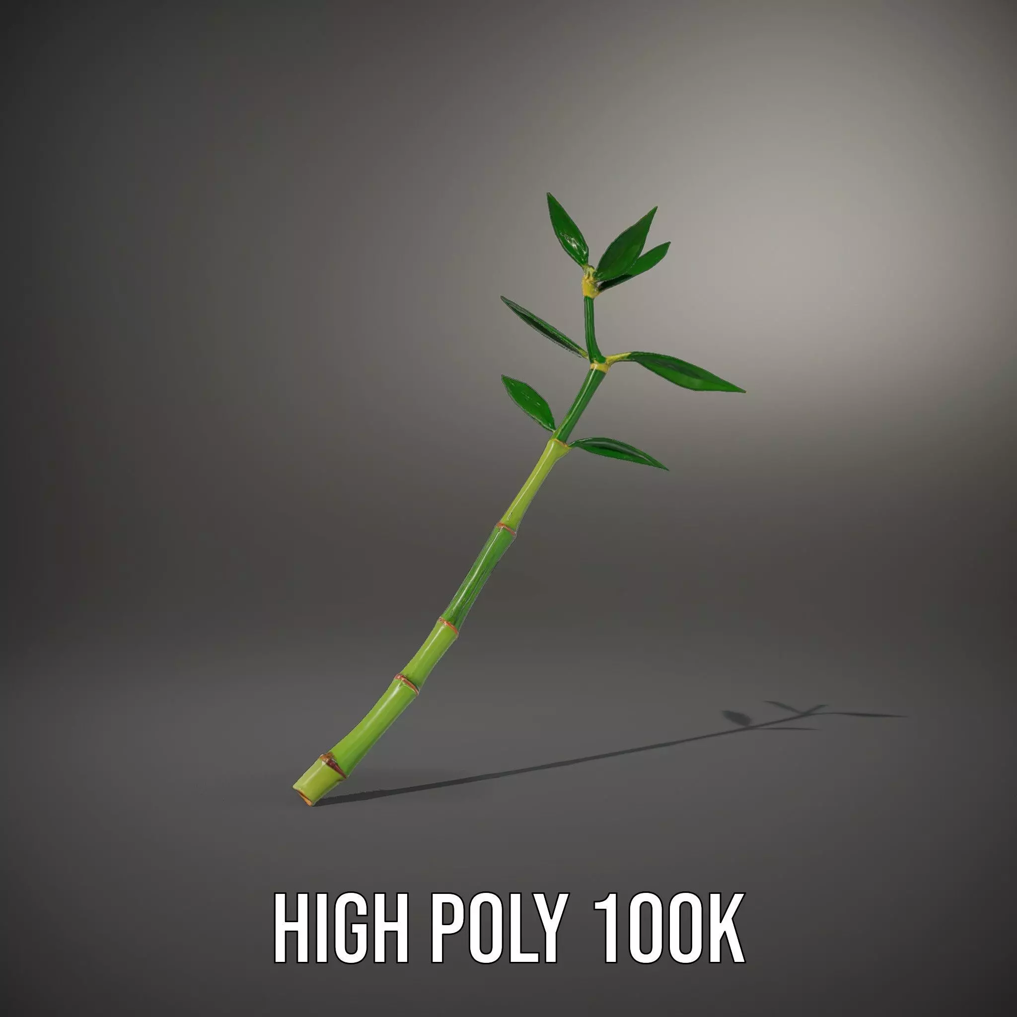 Green Bamboo Stick model pack Low-poly 3D model_10