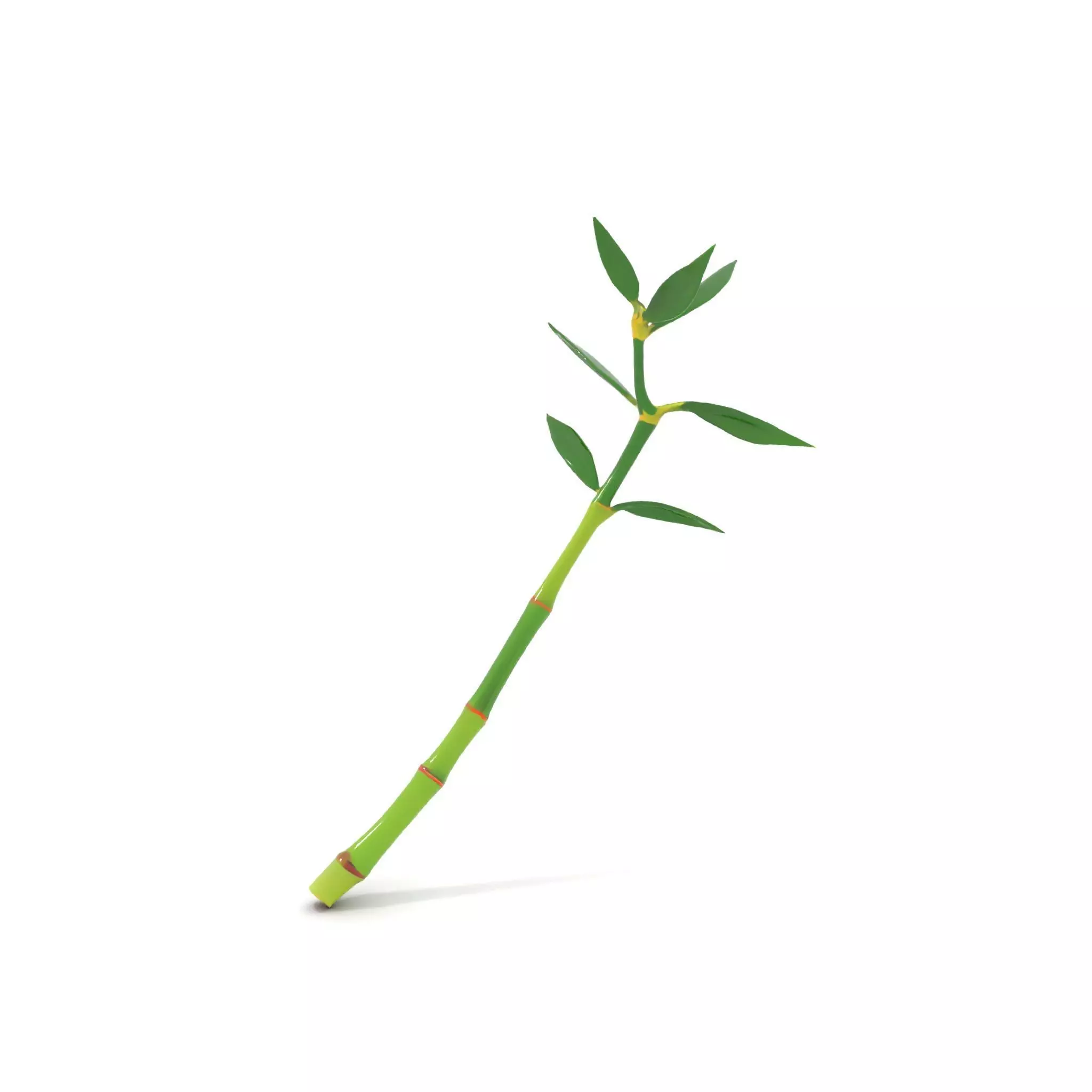 Green Bamboo Stick model pack Low-poly 3D model_6
