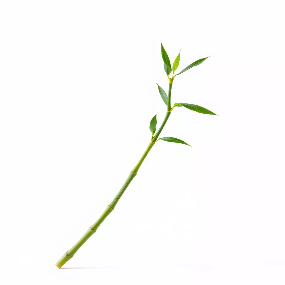 Green Bamboo Stick model pack Low-poly 3D model_2