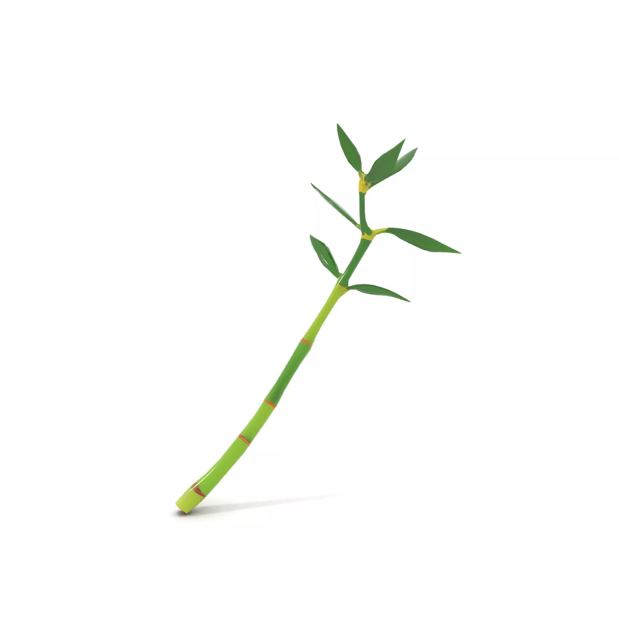 Green Bamboo Stick model pack Low-poly 3D model_9