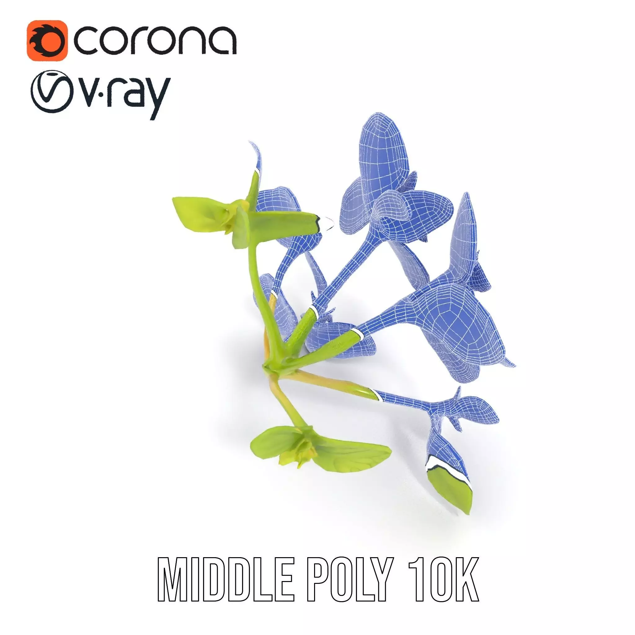Fresh Mint Leaf model pack Low-poly 3D model_30