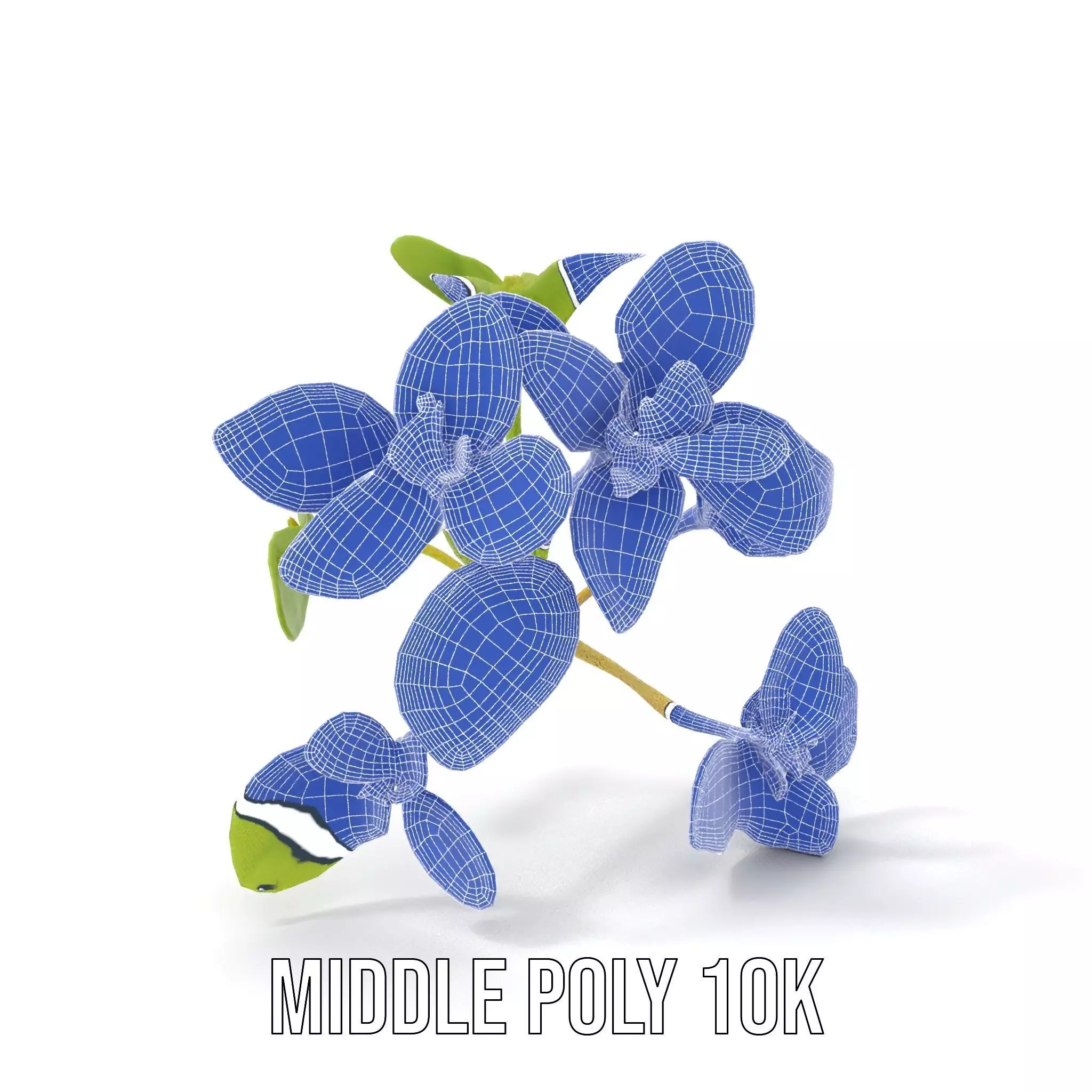 Fresh Mint Leaf model pack Low-poly 3D model_21