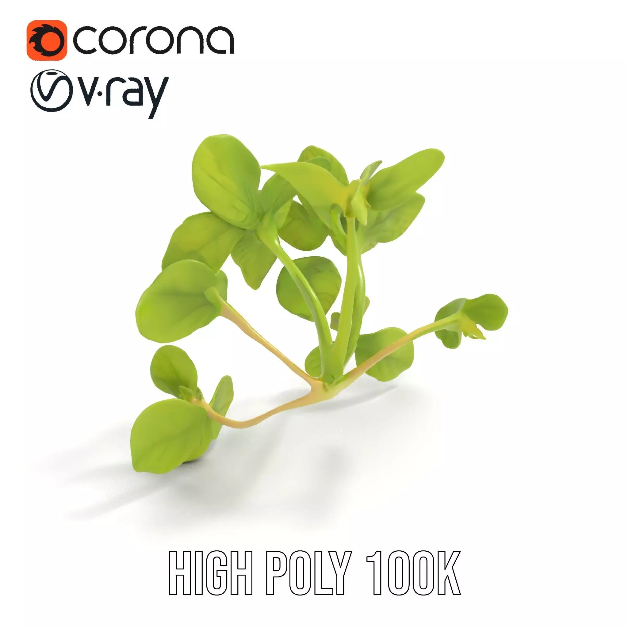 Fresh Mint Leaf model pack Low-poly 3D model_20