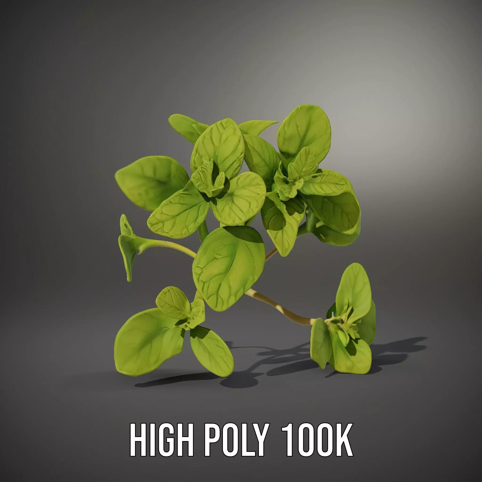 Fresh Mint Leaf model pack Low-poly 3D model_8