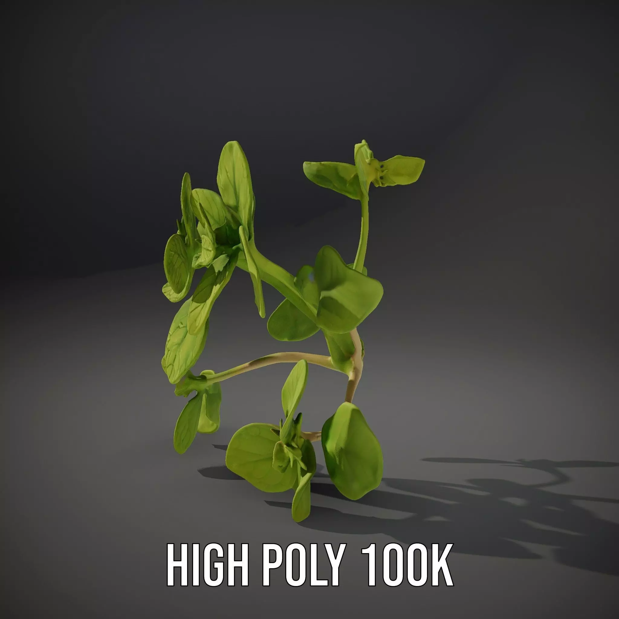 Fresh Mint Leaf model pack Low-poly 3D model_10