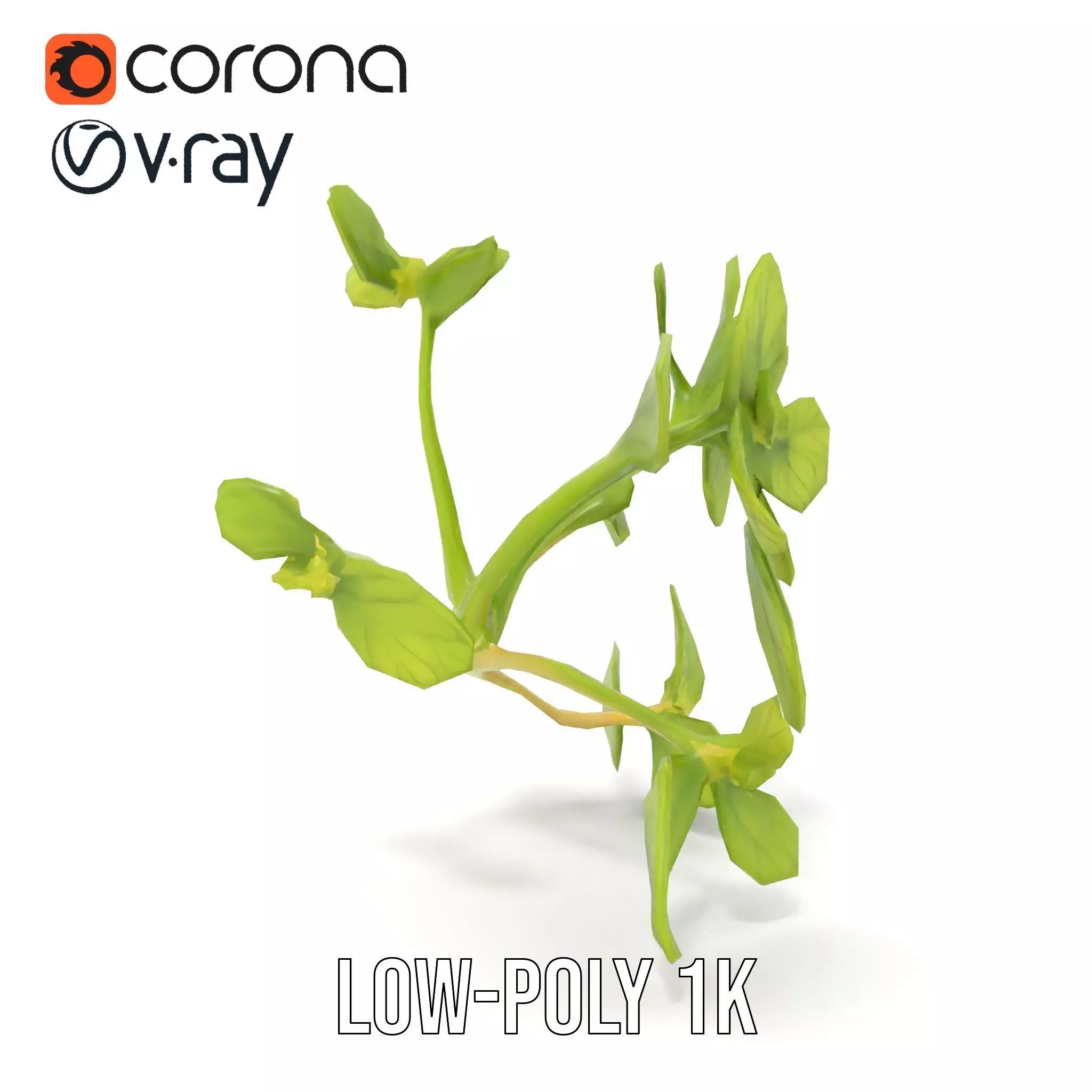 Fresh Mint Leaf model pack Low-poly 3D model_25