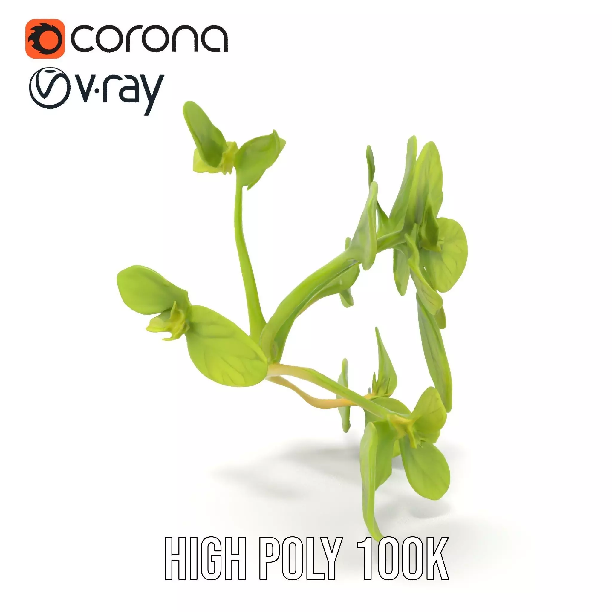 Fresh Mint Leaf model pack Low-poly 3D model_32