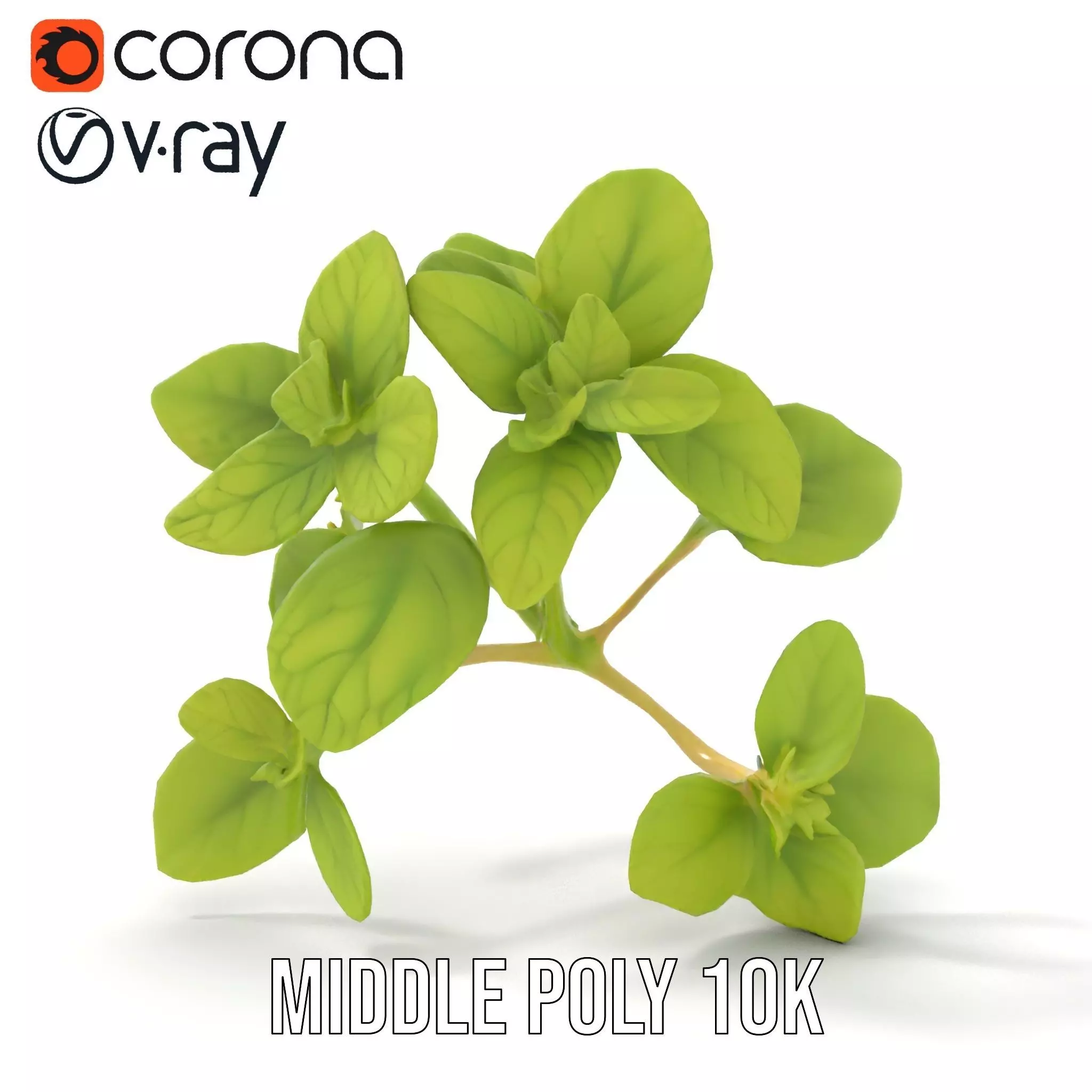 Fresh Mint Leaf model pack Low-poly 3D model_11