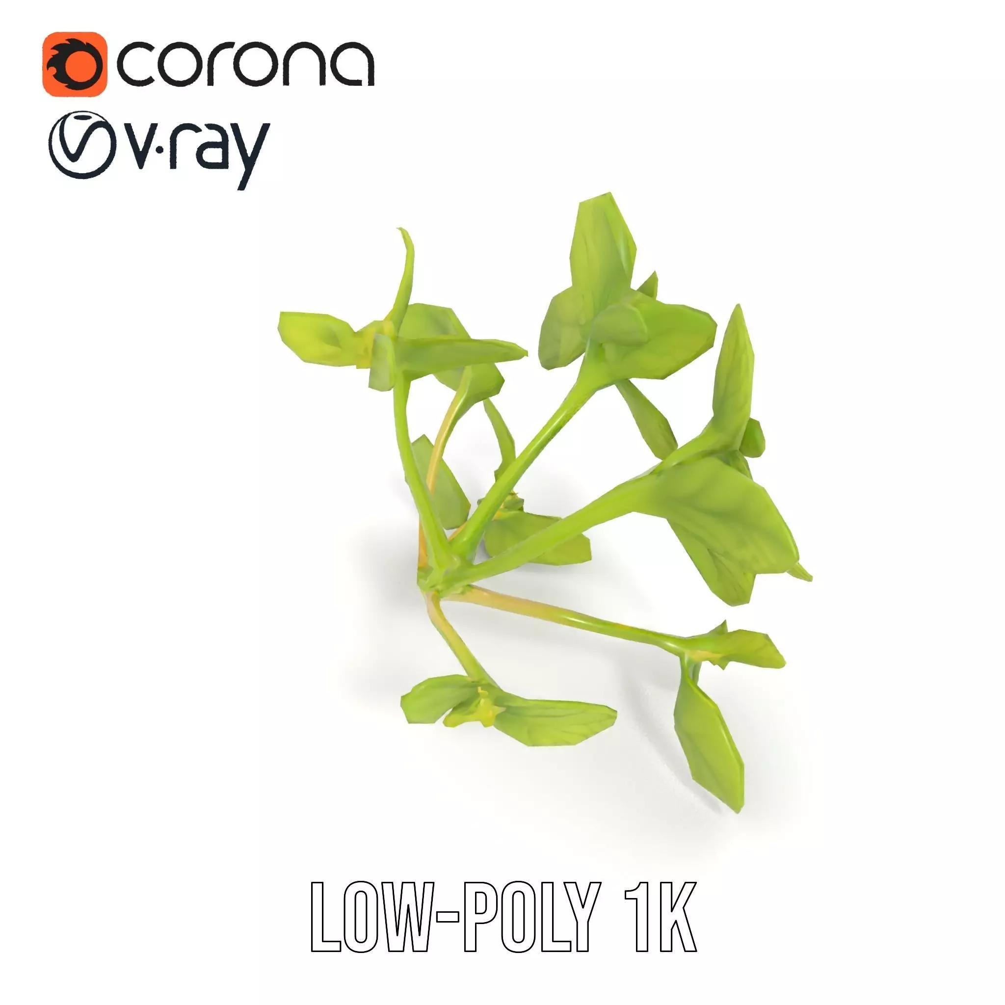 Fresh Mint Leaf model pack Low-poly 3D model_19