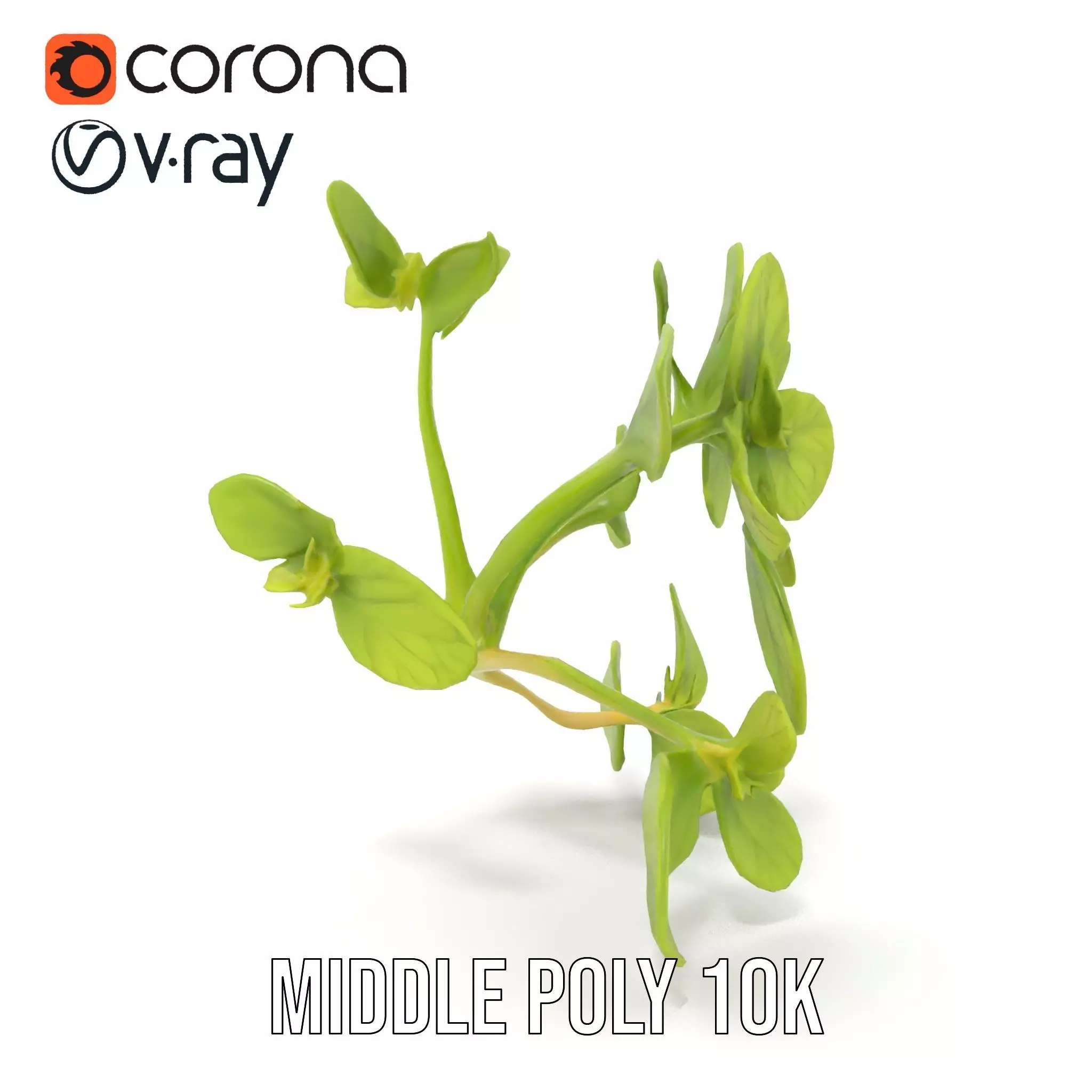 Fresh Mint Leaf model pack Low-poly 3D model_24
