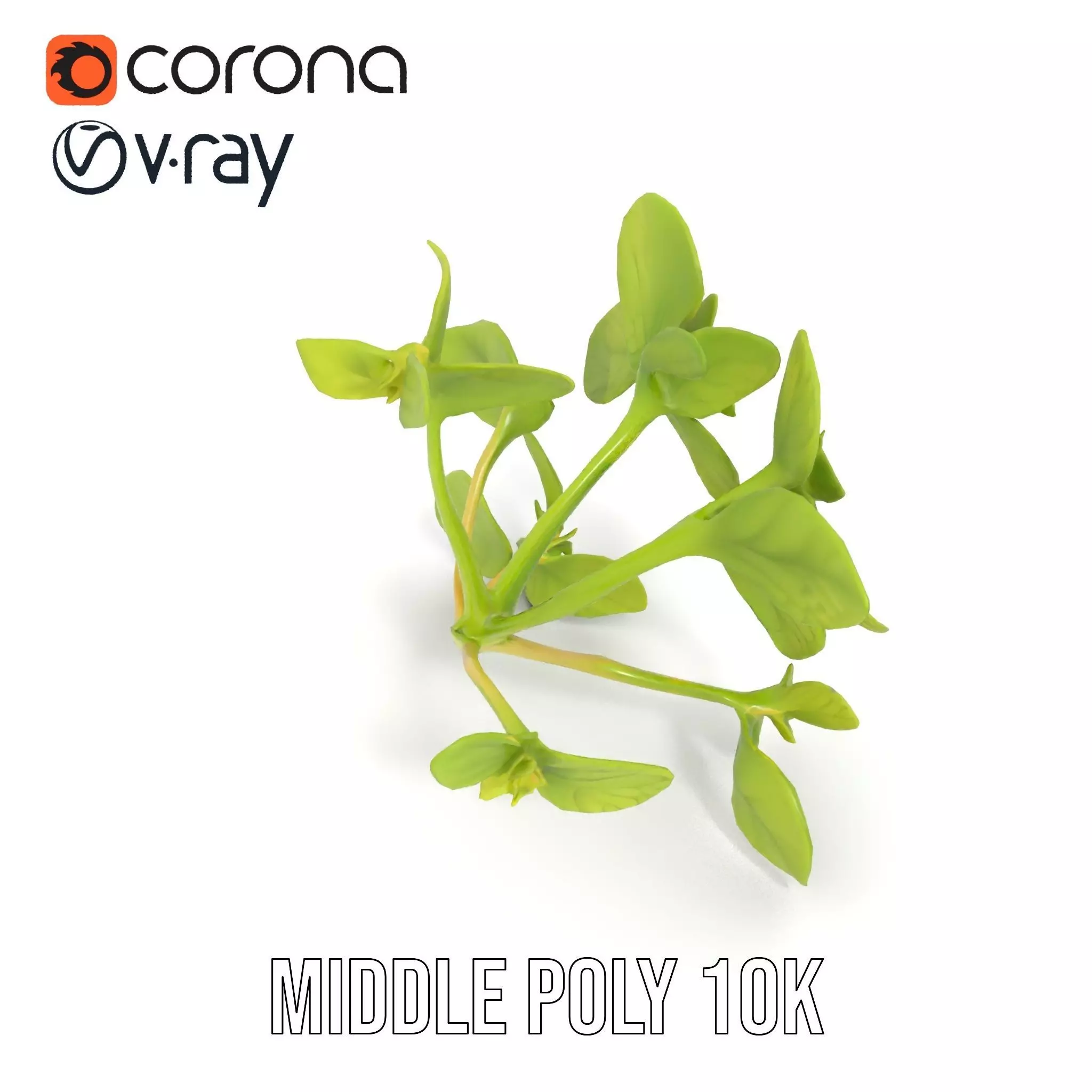 Fresh Mint Leaf model pack Low-poly 3D model_6