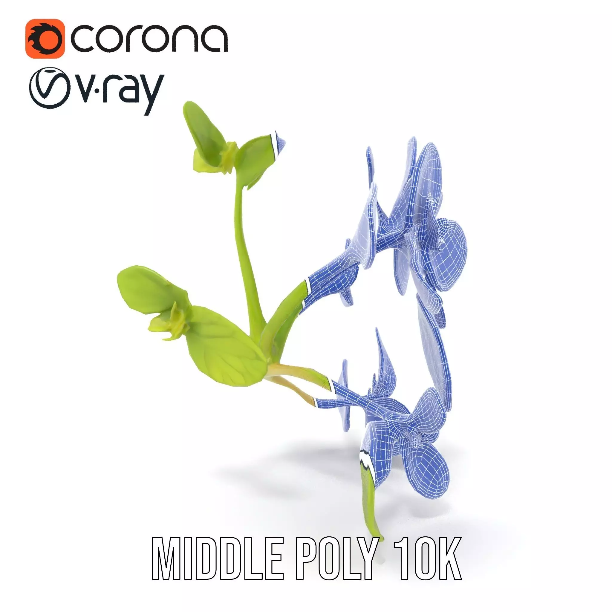 Fresh Mint Leaf model pack Low-poly 3D model_27