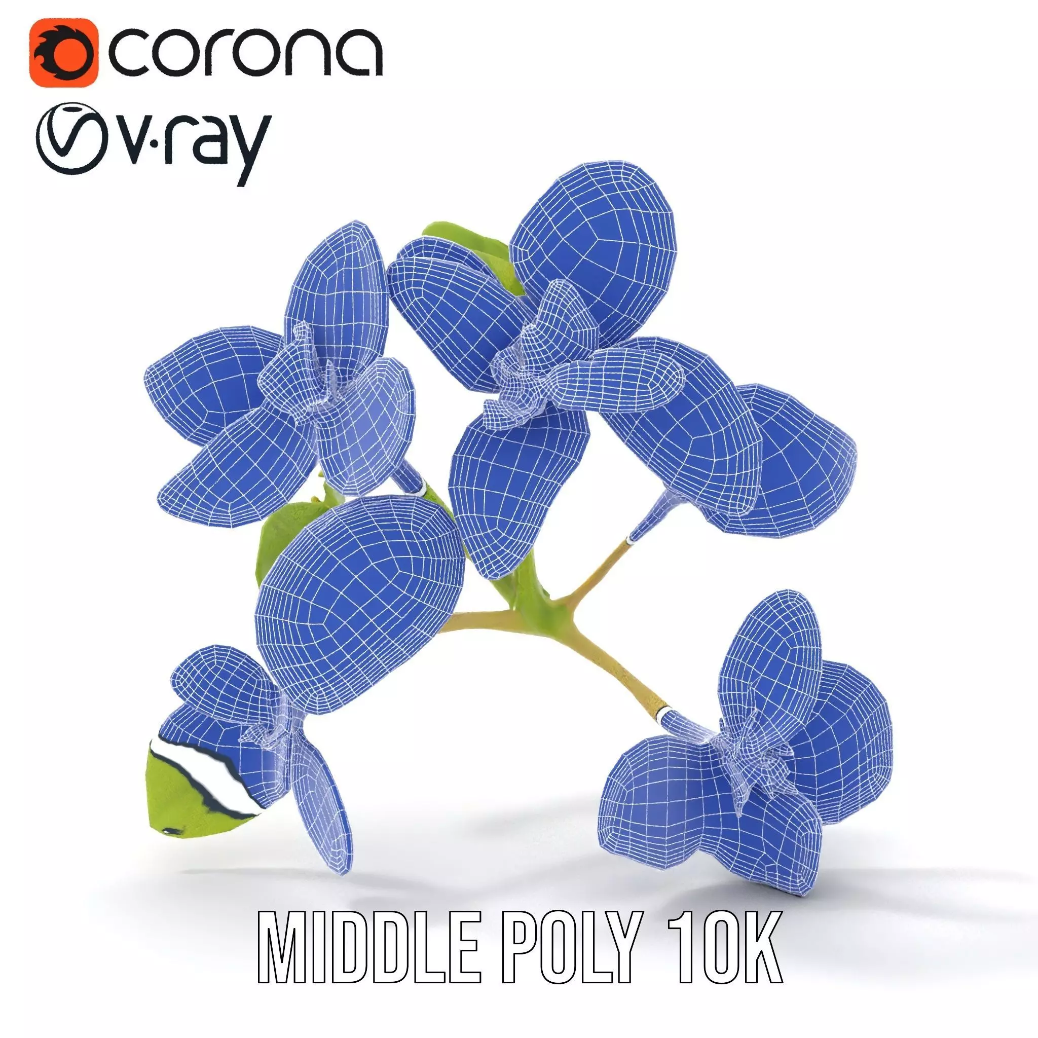 Fresh Mint Leaf model pack Low-poly 3D model_15