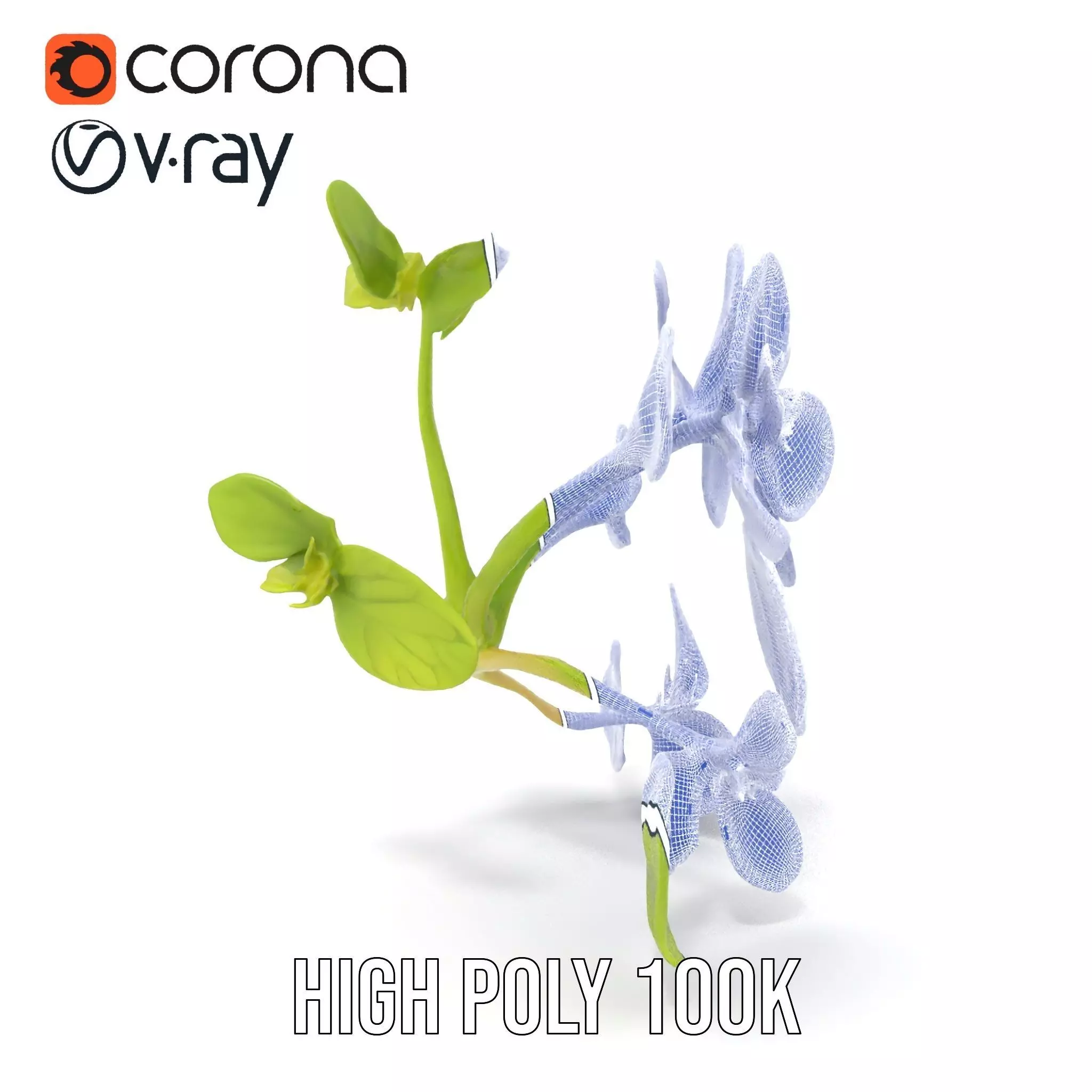 Fresh Mint Leaf model pack Low-poly 3D model_29