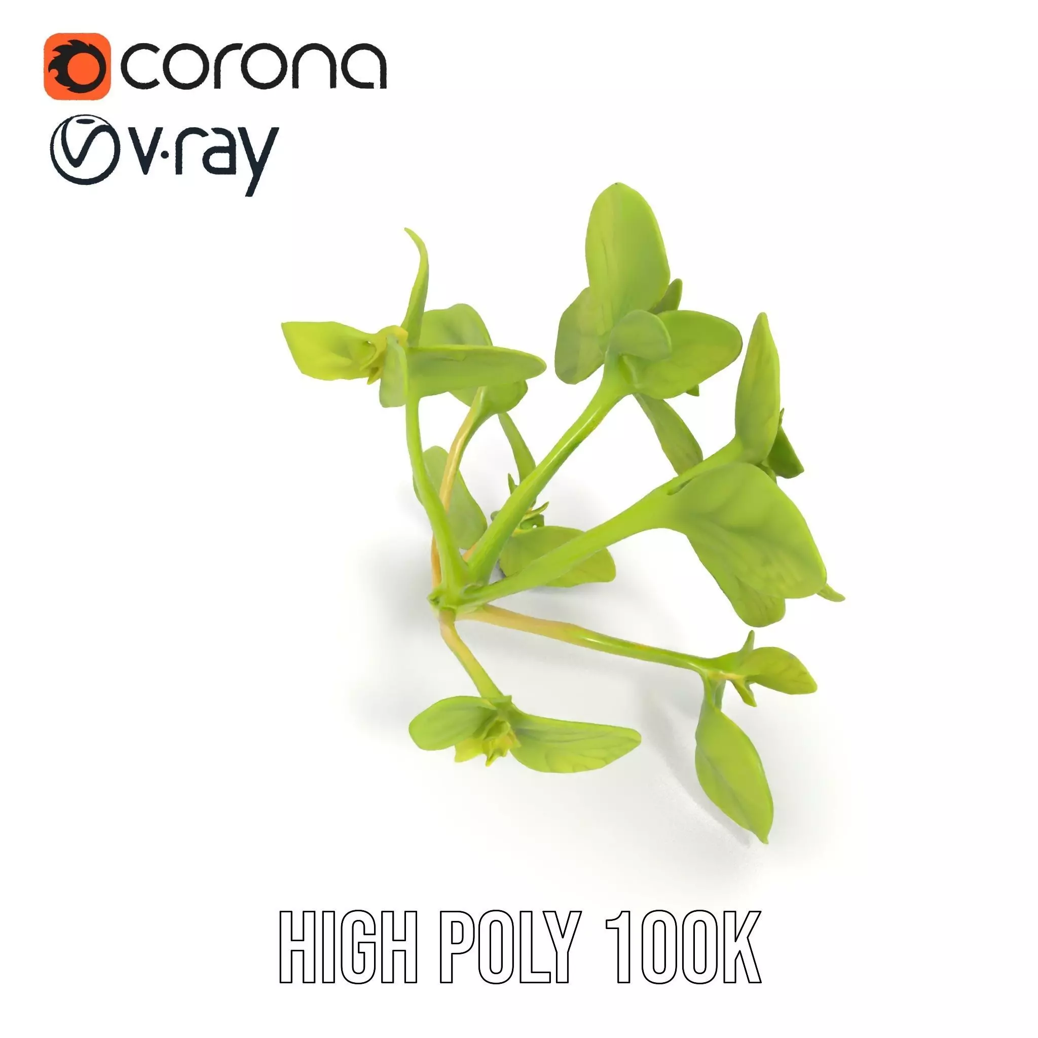 Fresh Mint Leaf model pack Low-poly 3D model_23
