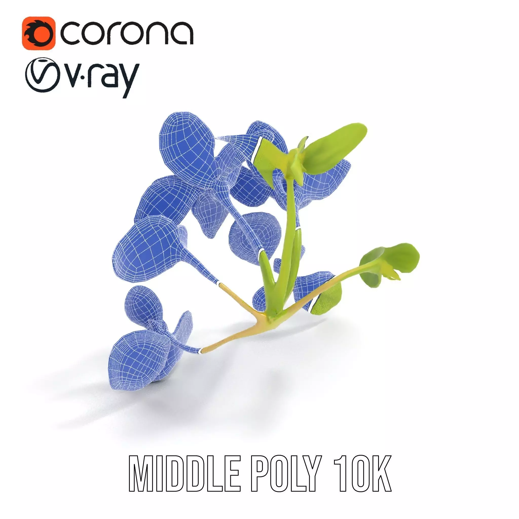 Fresh Mint Leaf model pack Low-poly 3D model_18