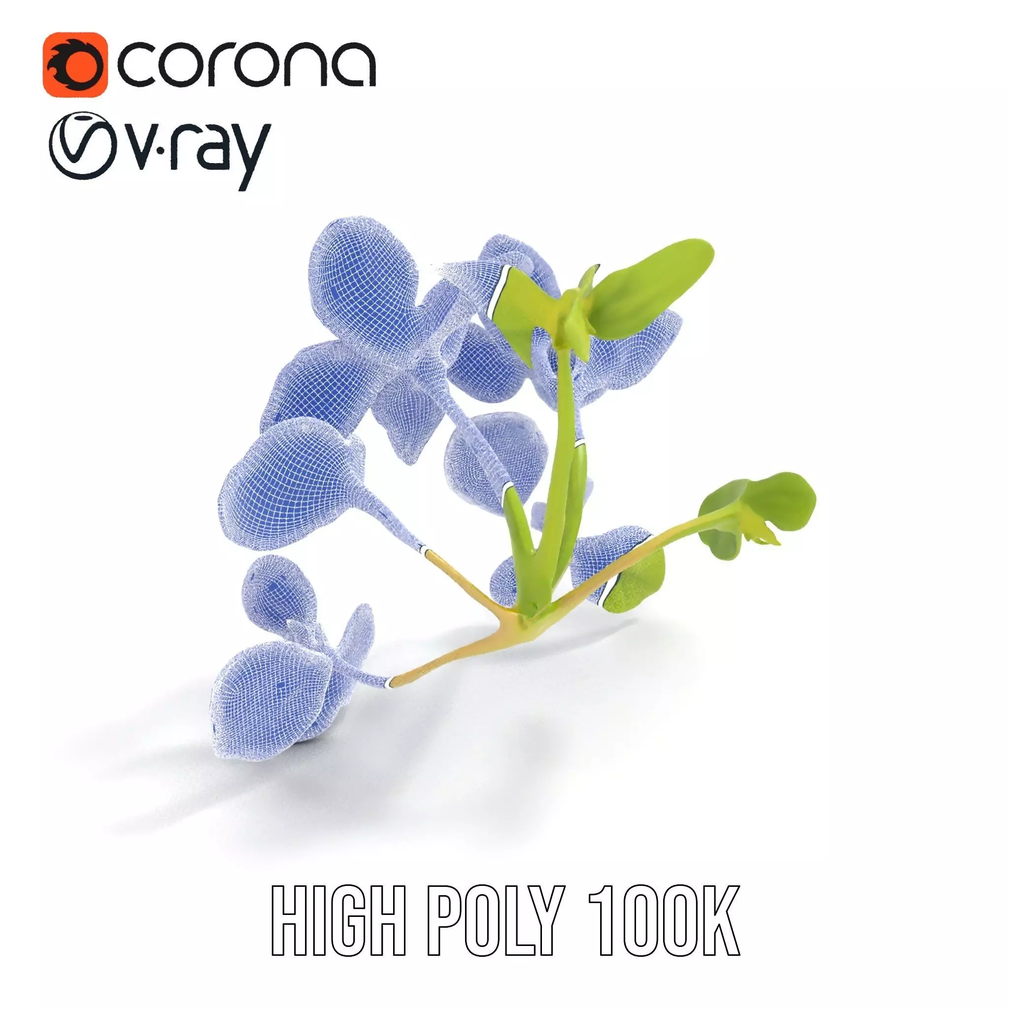 Fresh Mint Leaf model pack Low-poly 3D model_34