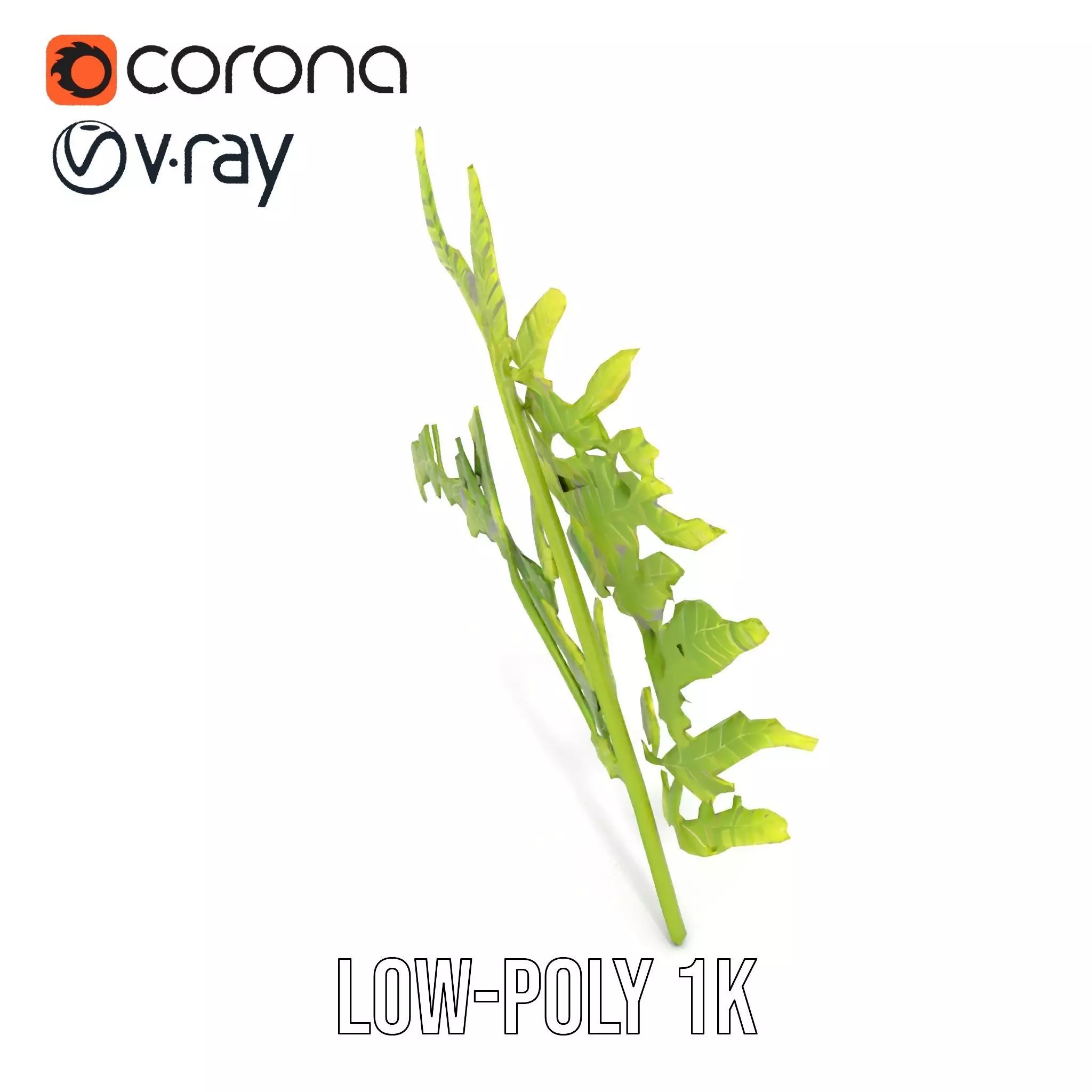 Lush Green Fern model pack Low-poly 3D model_19