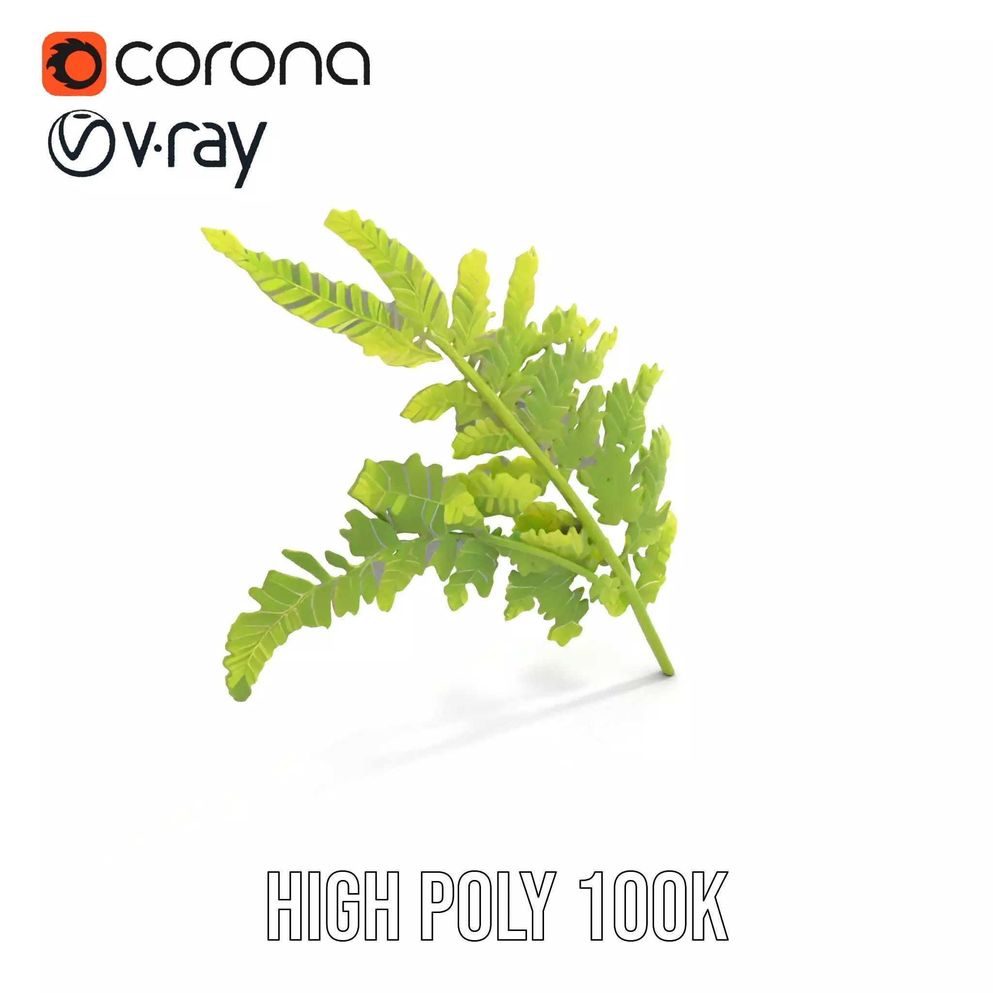 Lush Green Fern model pack Low-poly 3D model_20