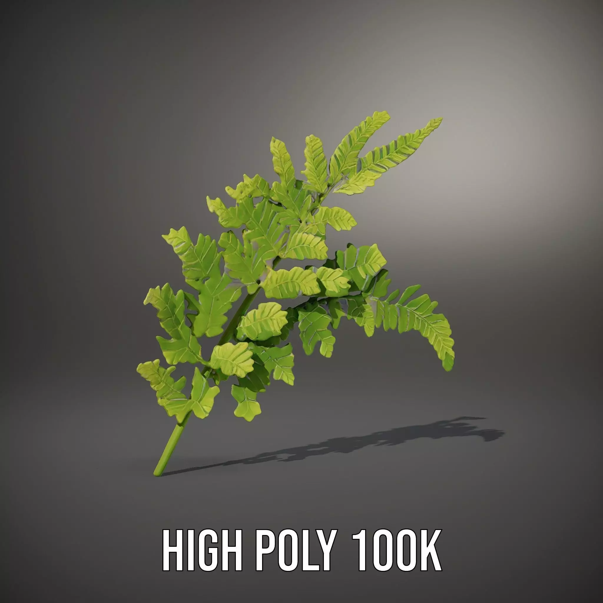 Lush Green Fern model pack Low-poly 3D model_10