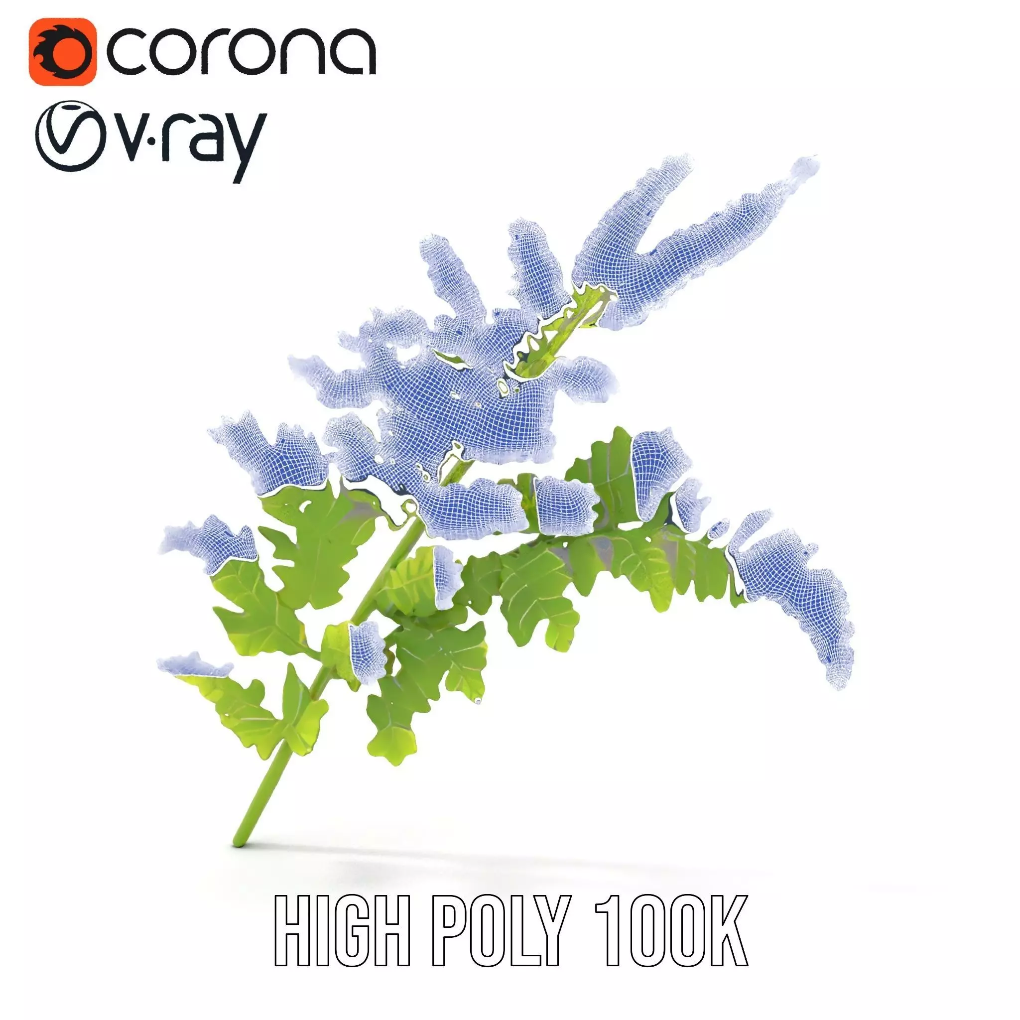 Lush Green Fern model pack Low-poly 3D model_34