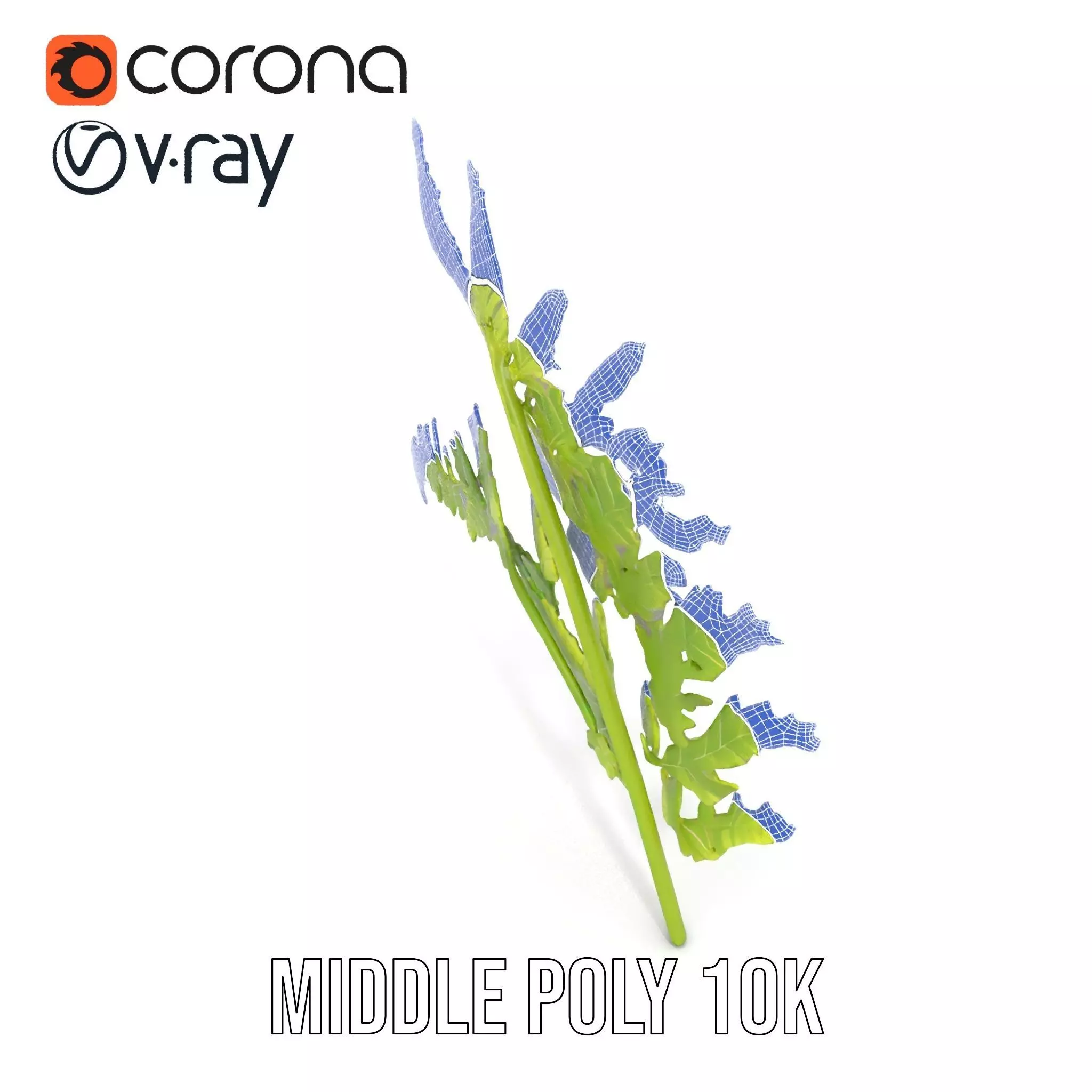 Lush Green Fern model pack Low-poly 3D model_27