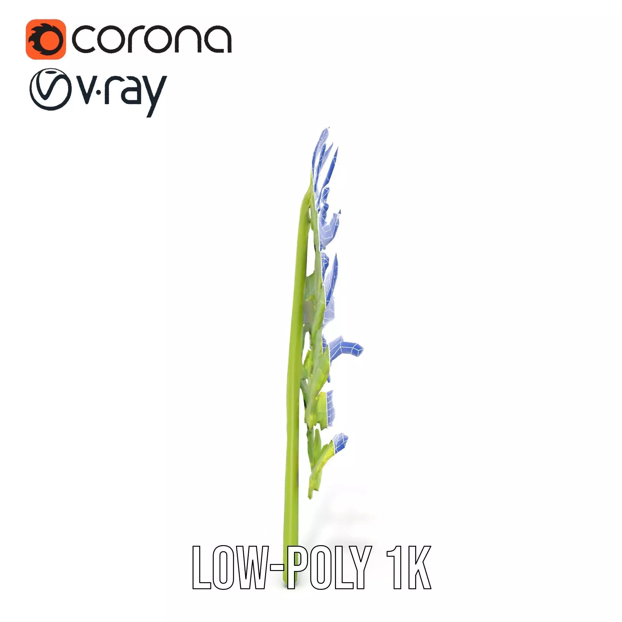 Lush Green Fern model pack Low-poly 3D model_28