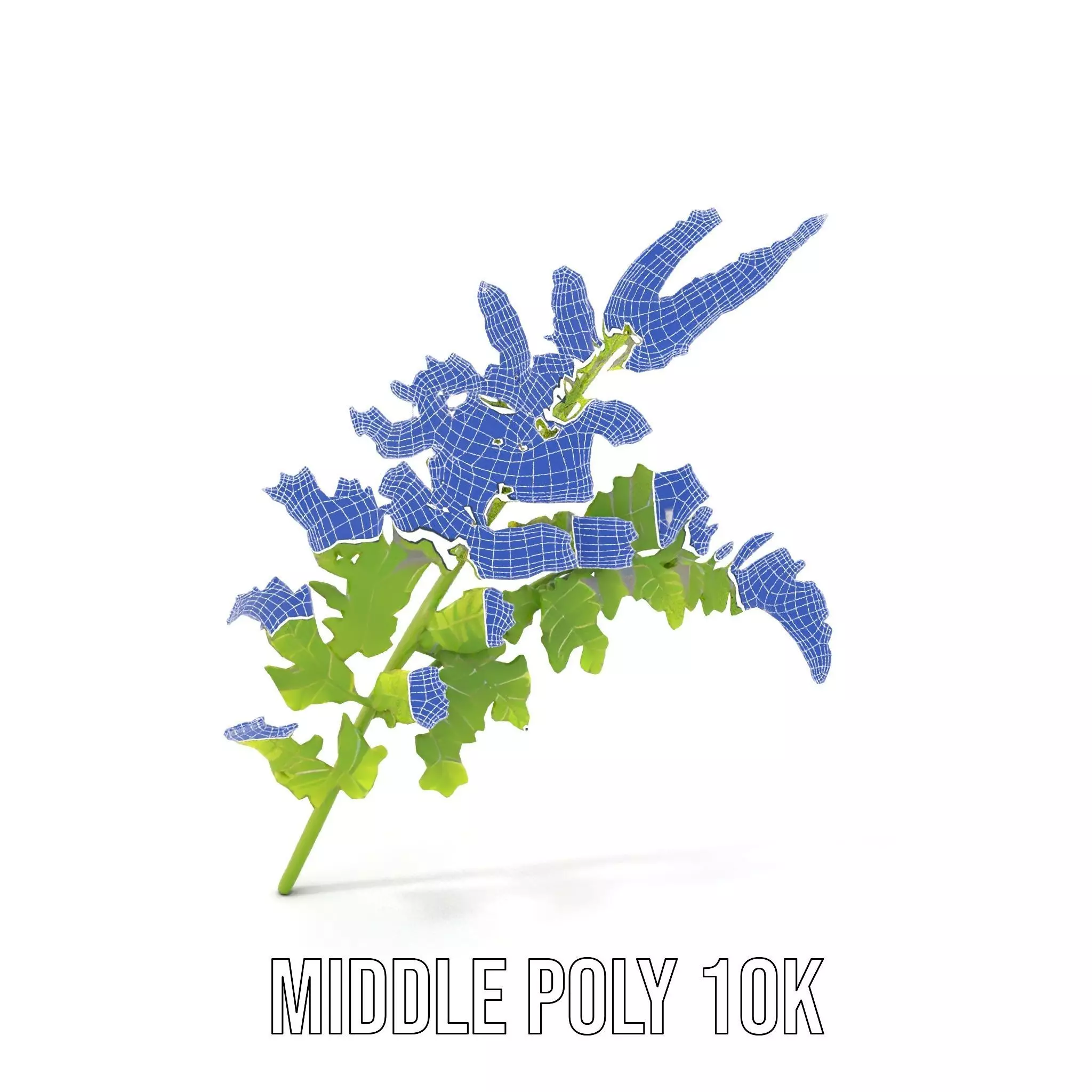 Lush Green Fern model pack Low-poly 3D model_5