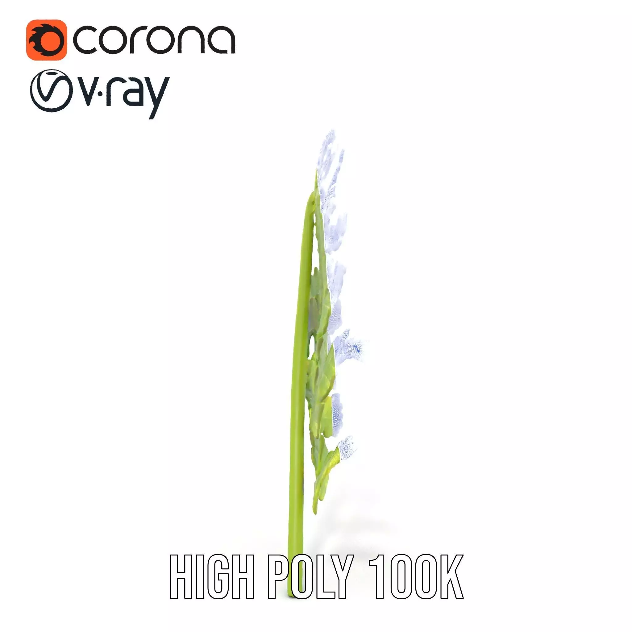 Lush Green Fern model pack Low-poly 3D model_26